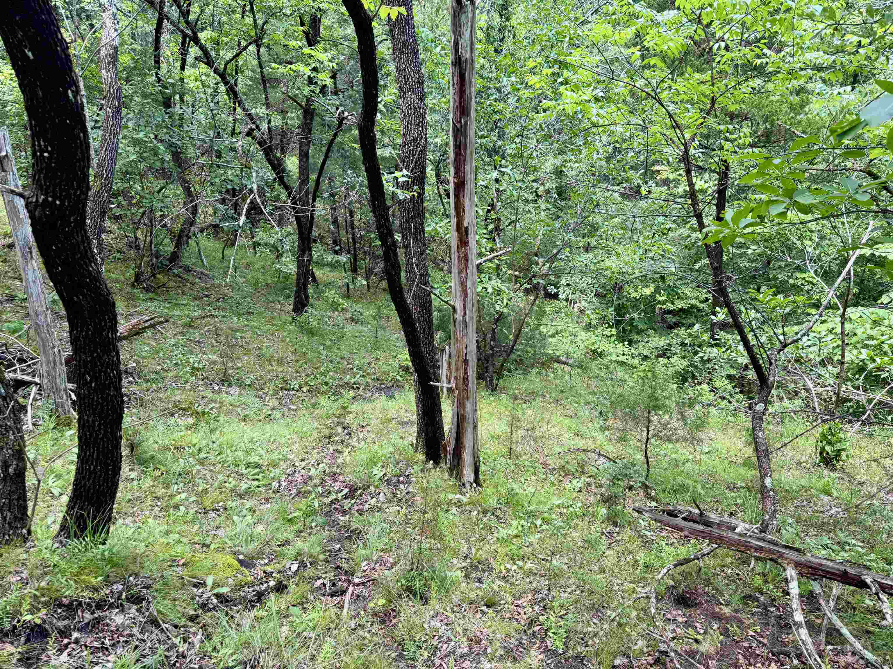 11542 S AR HWY 9 Highway Melbourne, AR 72556