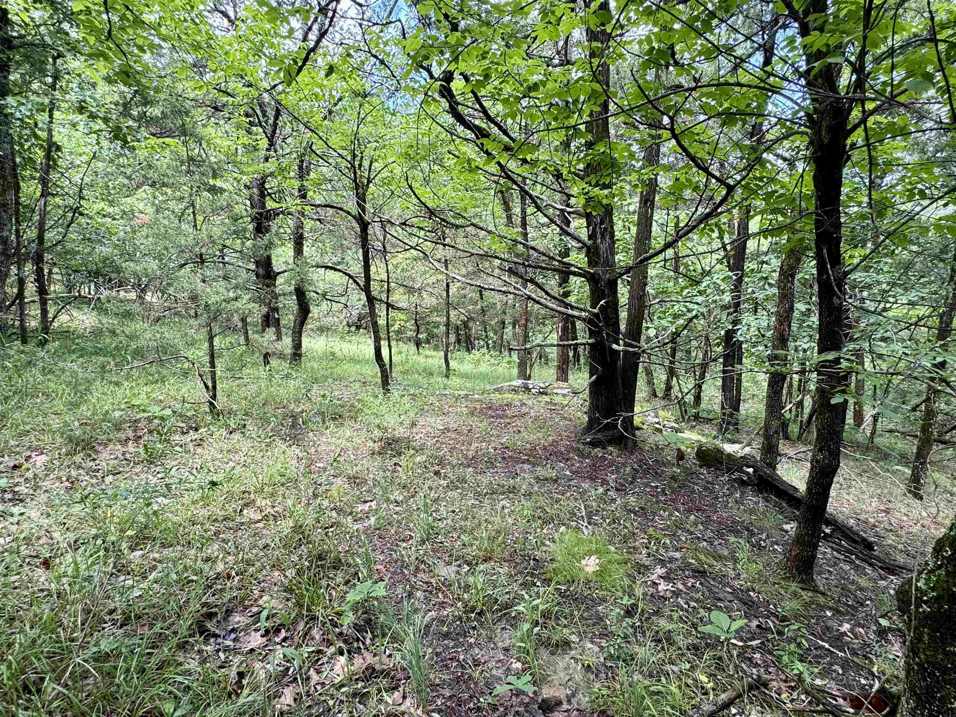 11542 S AR HWY 9 Highway Melbourne, AR 72556