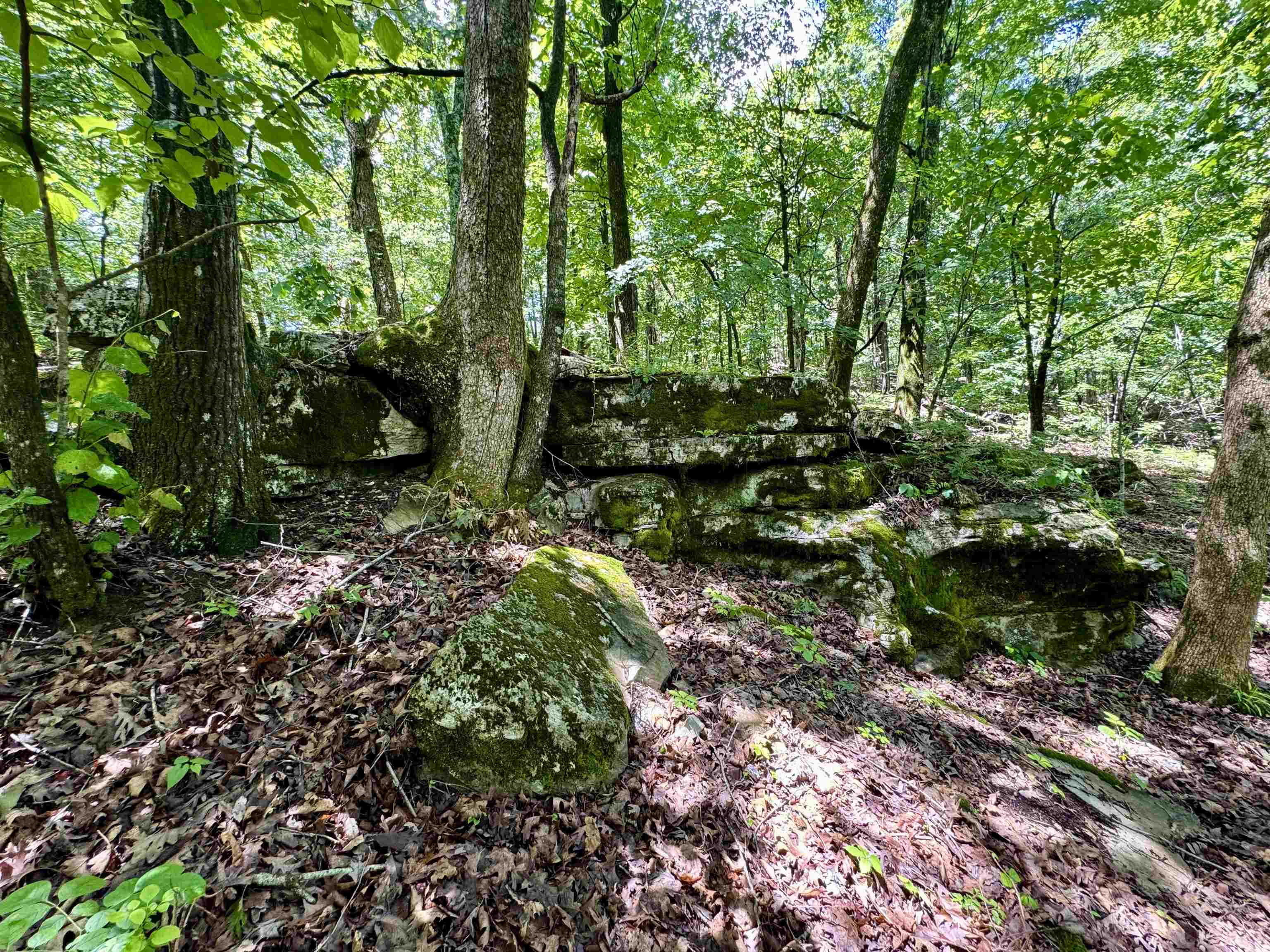 11542 S AR HWY 9 Highway Melbourne, AR 72556