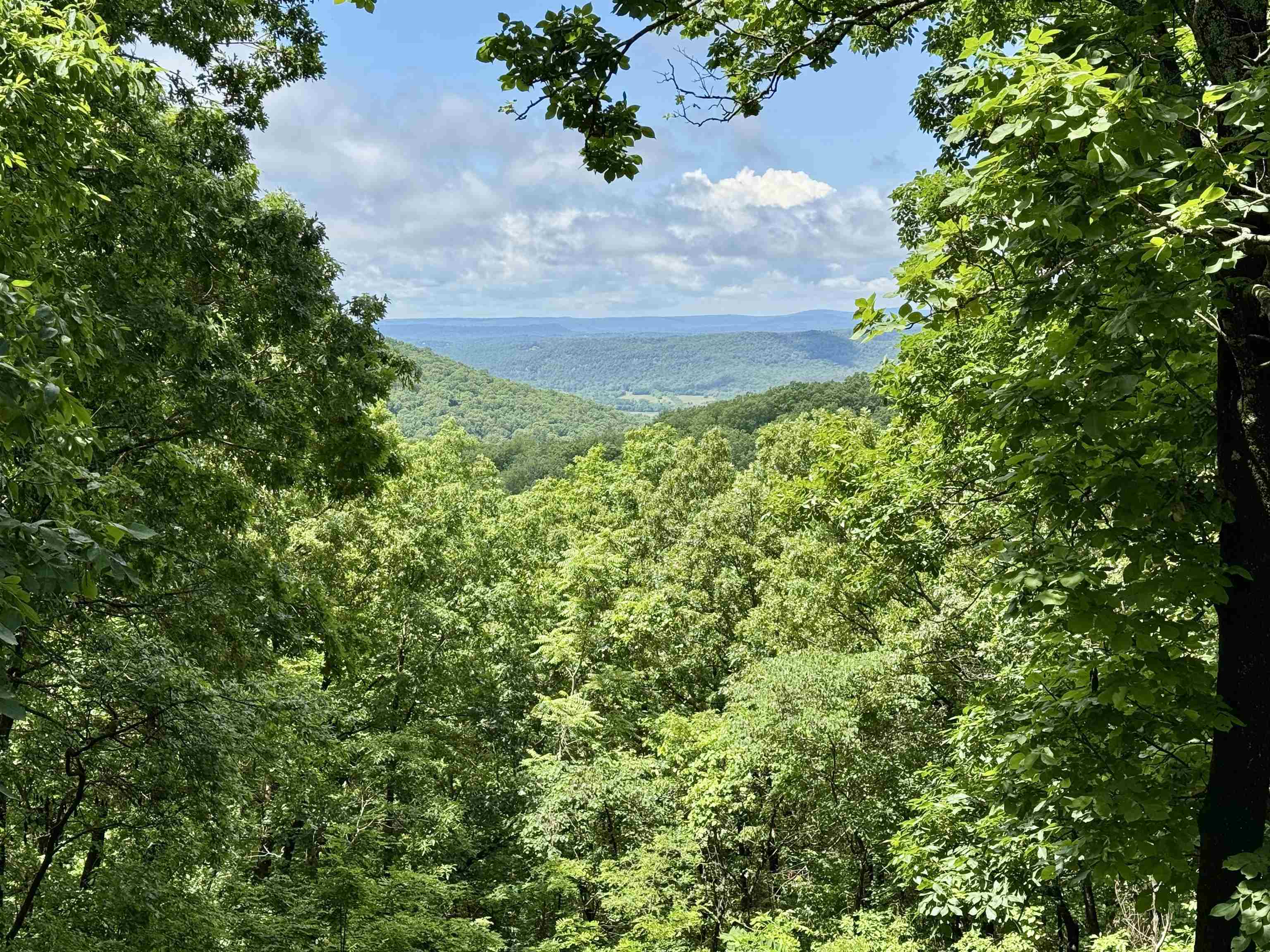 11542 S AR HWY 9 Highway Melbourne, AR 72556