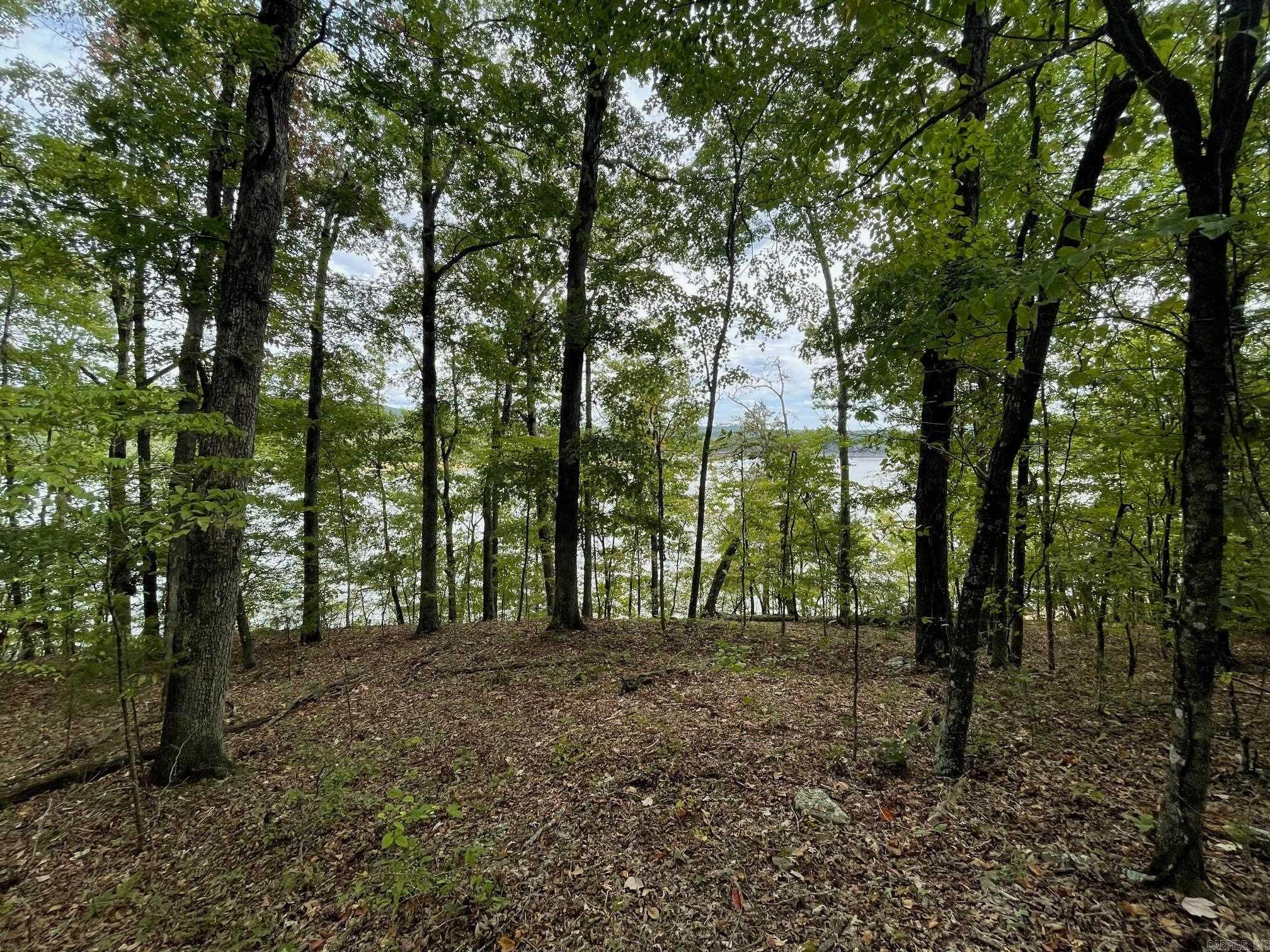 00 Angel  Clinton, AR