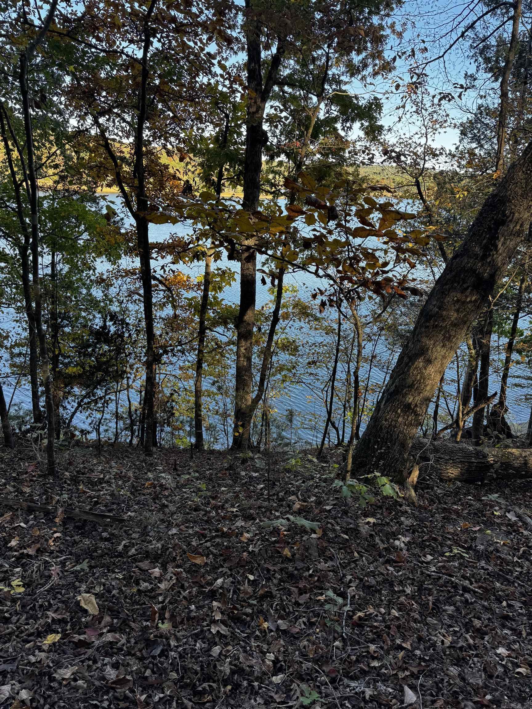 00 Angel  Clinton, AR