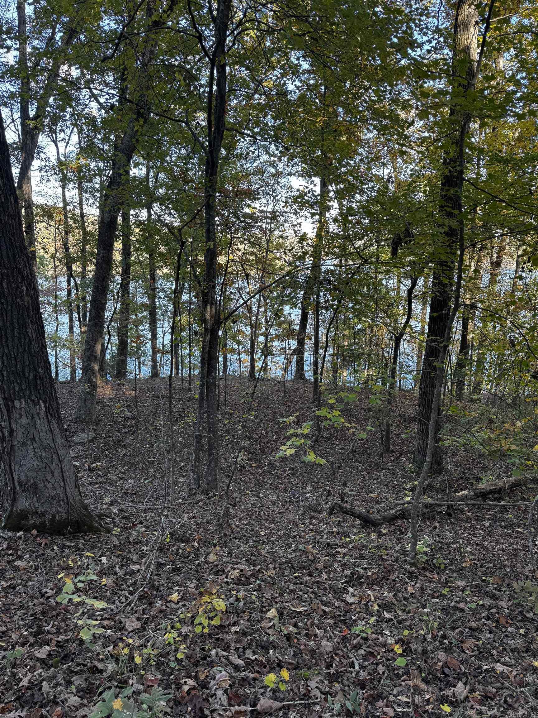 00 Angel  Clinton, AR