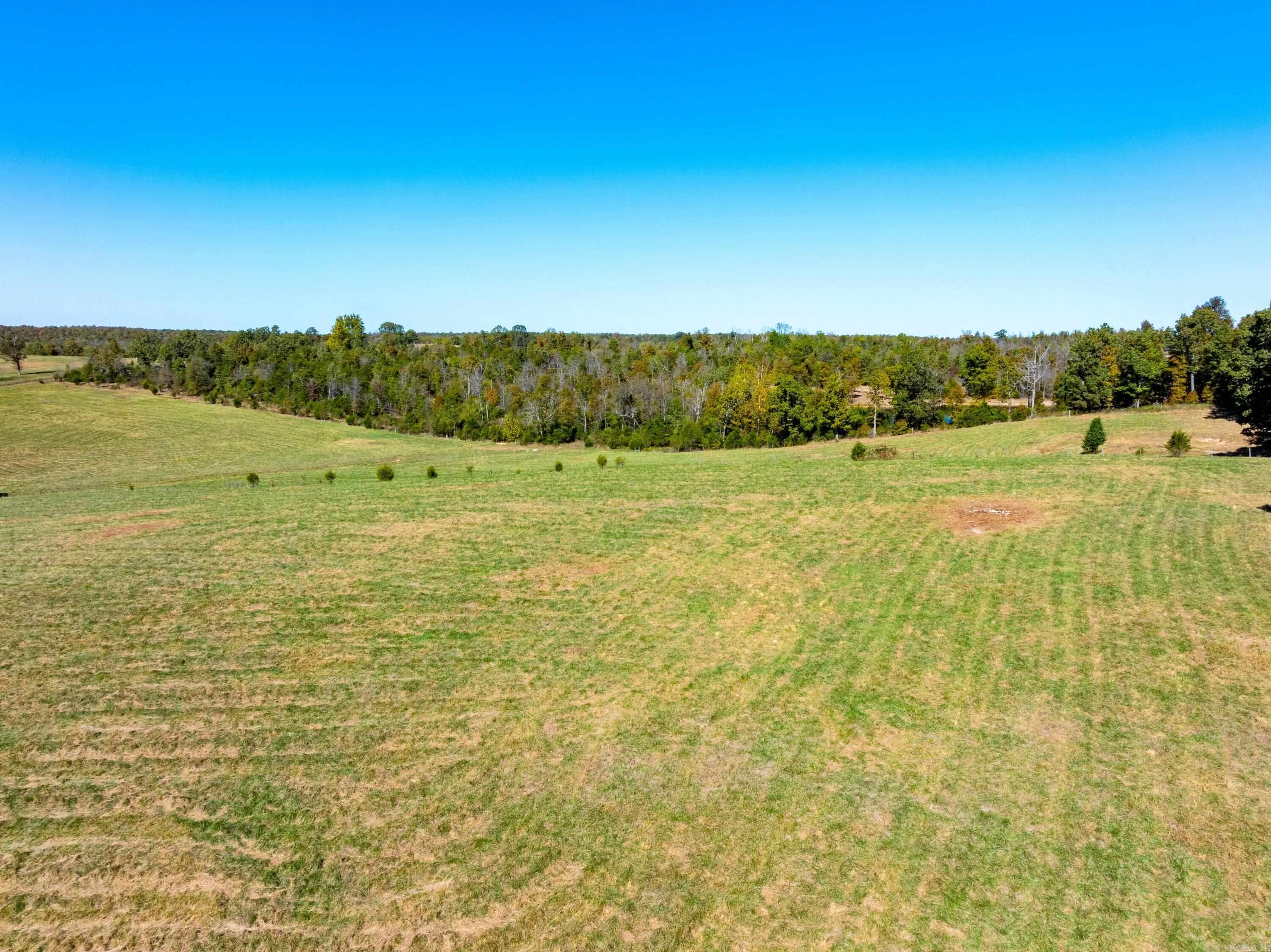 717 Green Valley Ln  Viola, AR