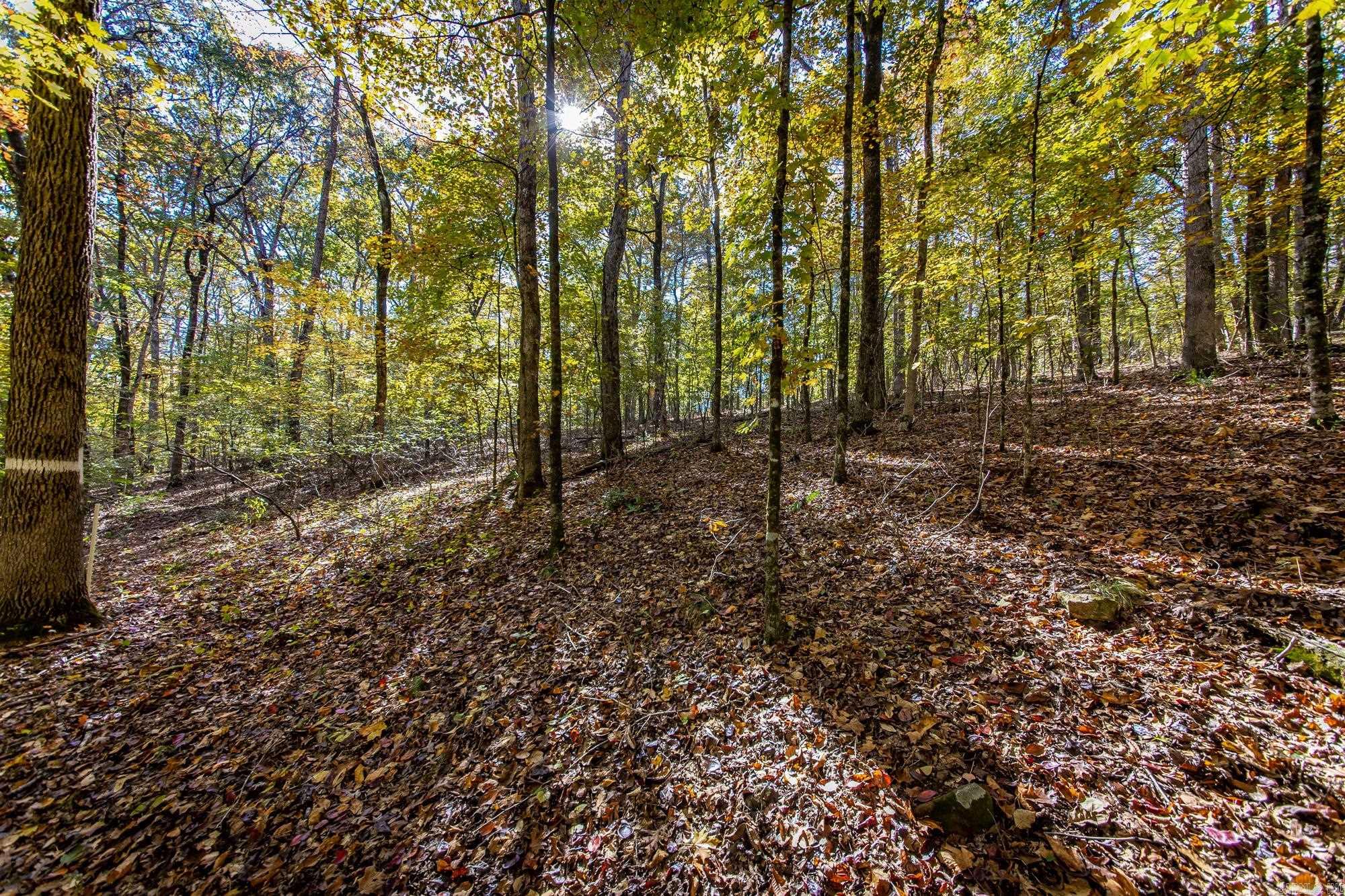 00 Mayhand Shirley, AR 72153