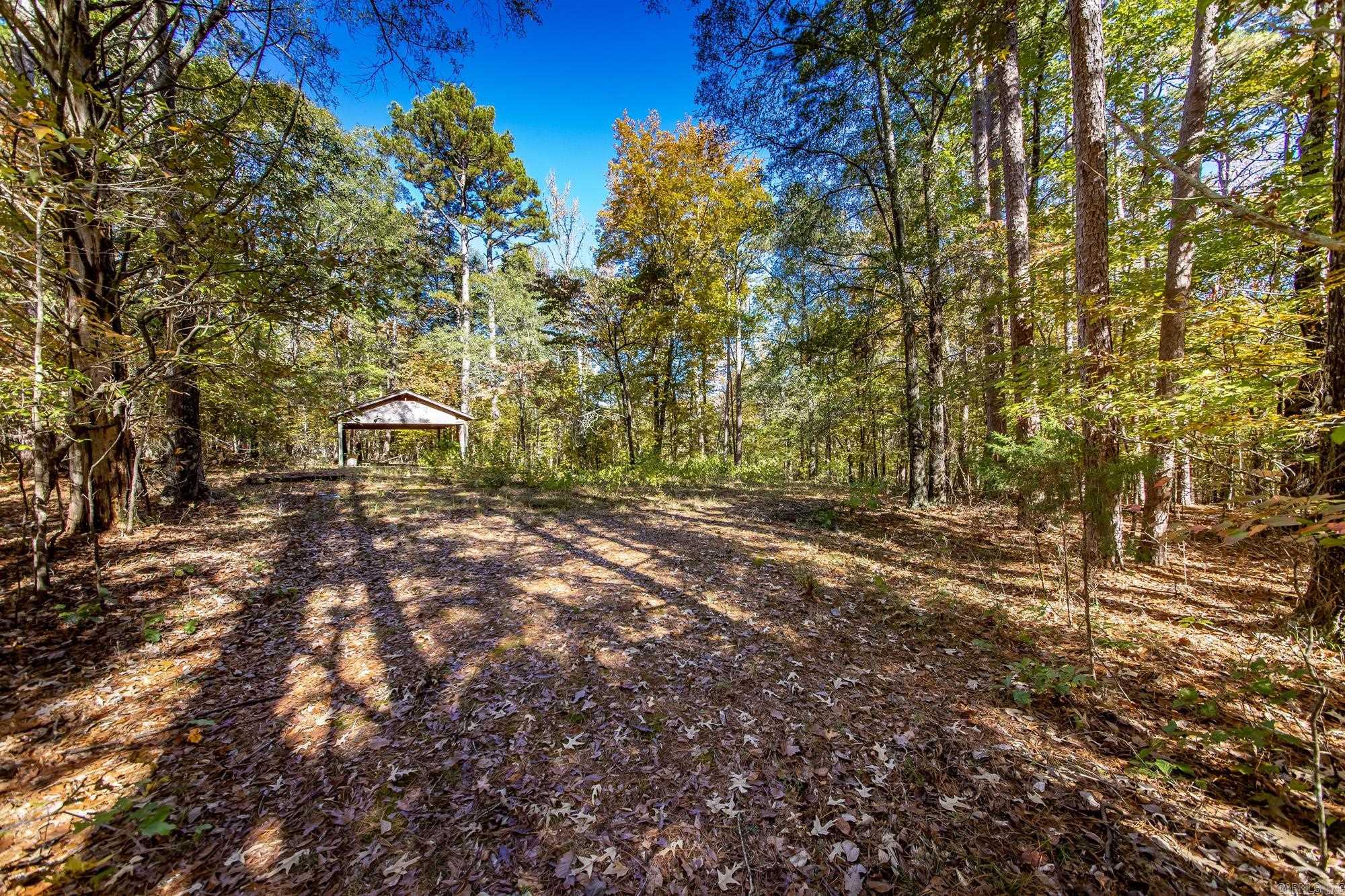 00 Mayhand Shirley, AR 72153