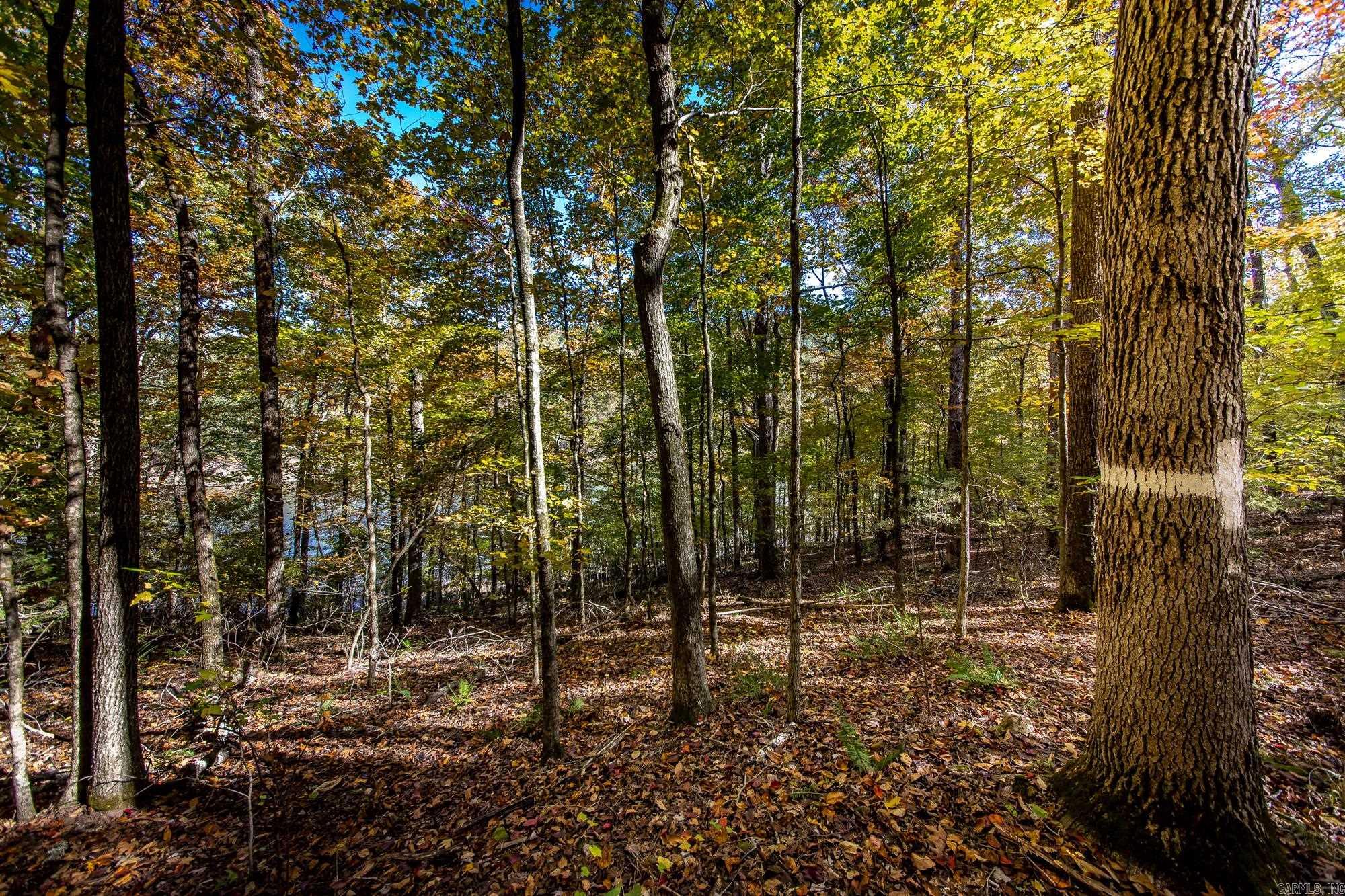 00 Mayhand Shirley, AR 72153