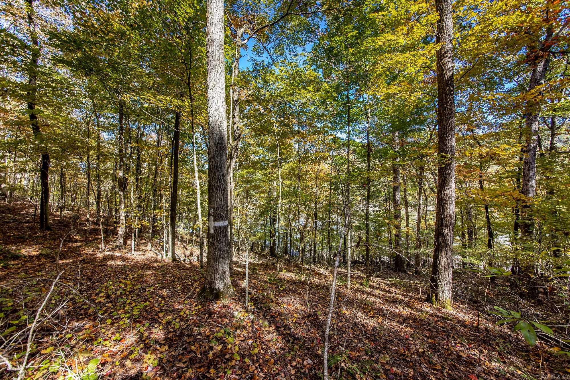 00 Mayhand Shirley, AR 72153