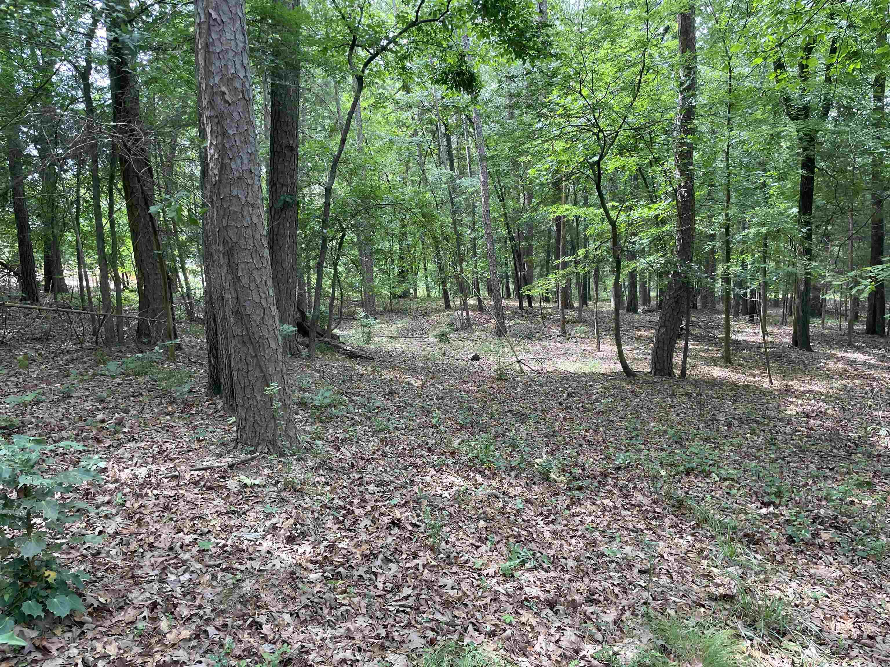 0 Woodland W  Heber Springs, AR