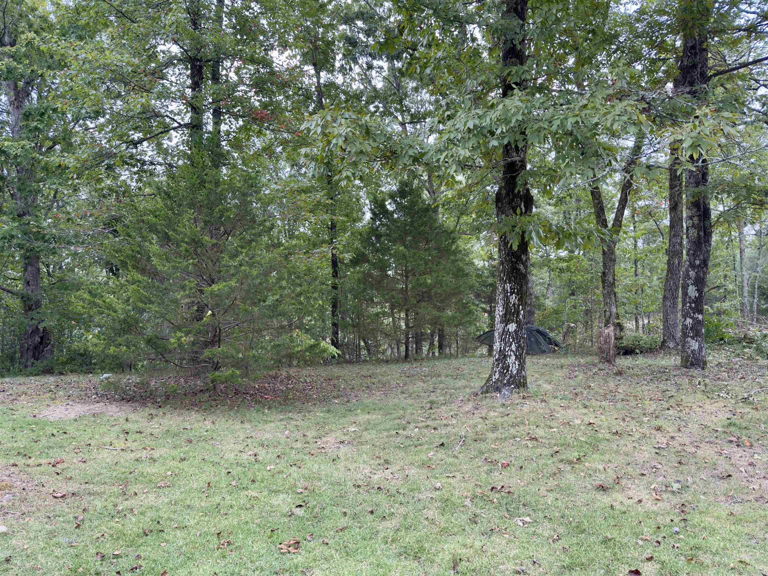 1130 Racket Ridge  Mountain View, AR