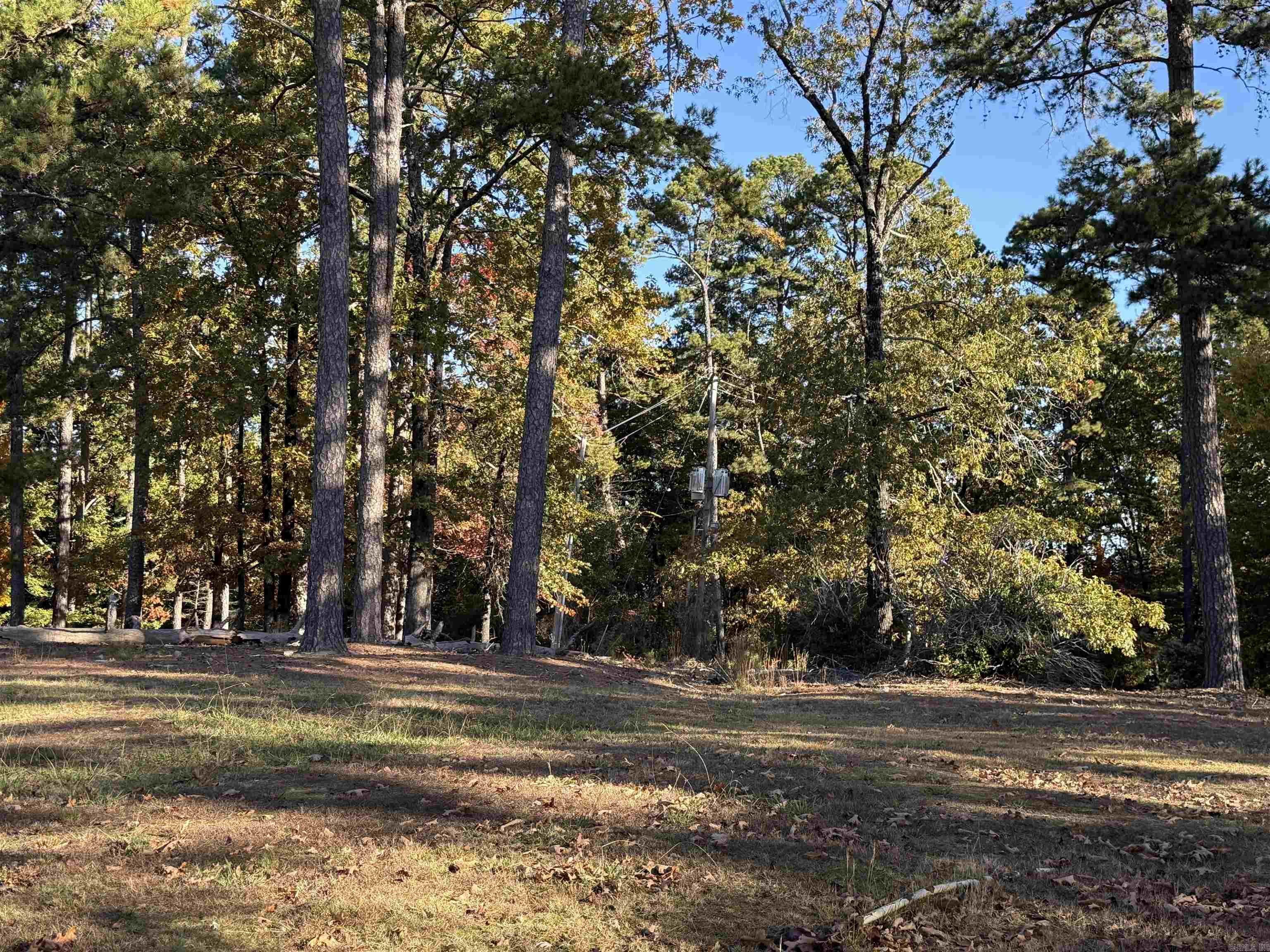 111 Desoto Cooper Circle Hot Springs Village, AR