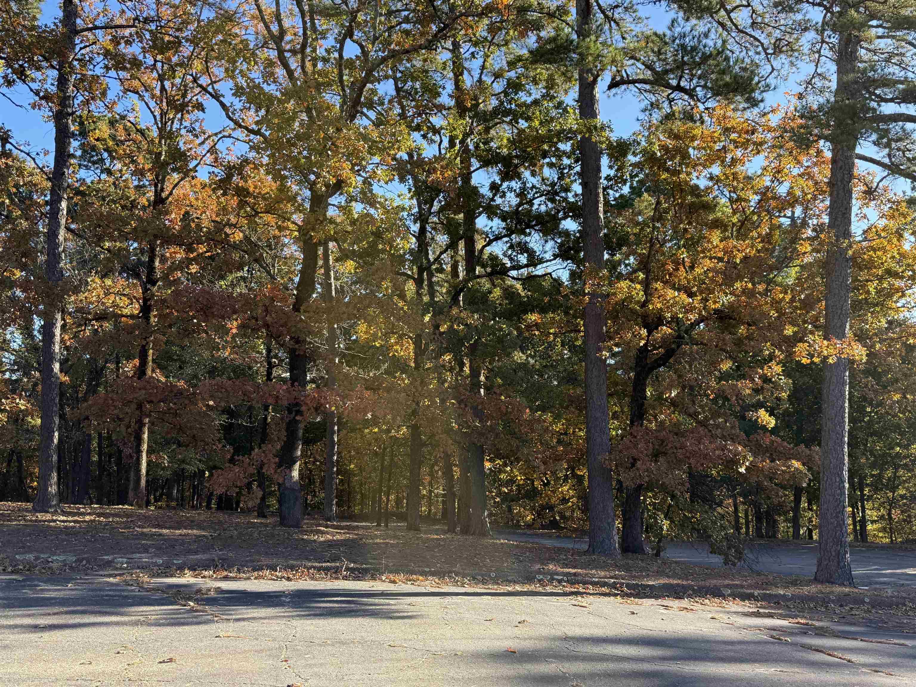 111 Desoto Cooper Circle Hot Springs Village, AR