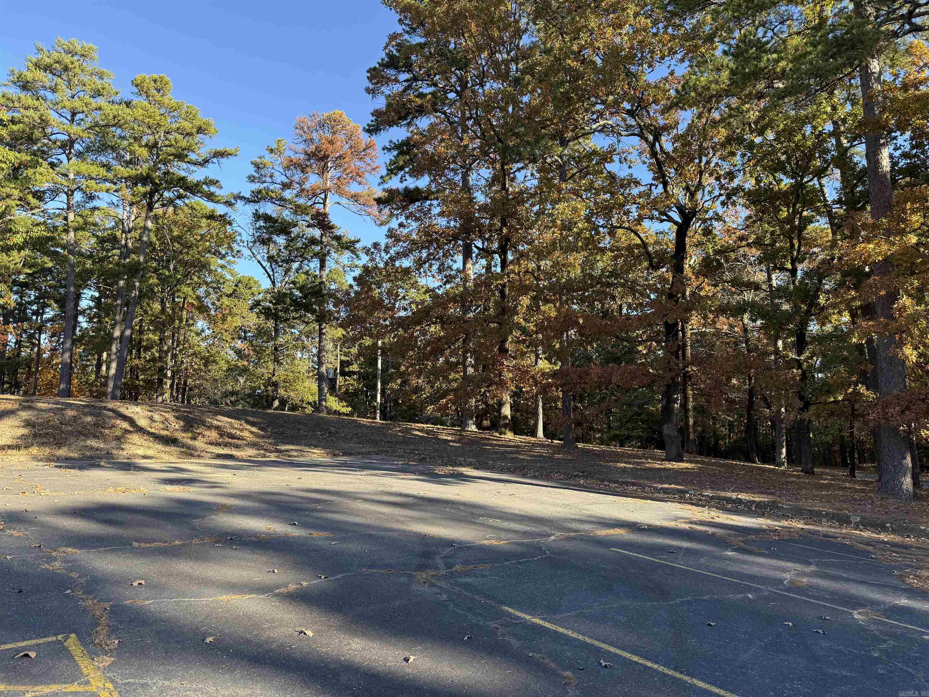 111 Desoto Cooper Circle Hot Springs Village, AR