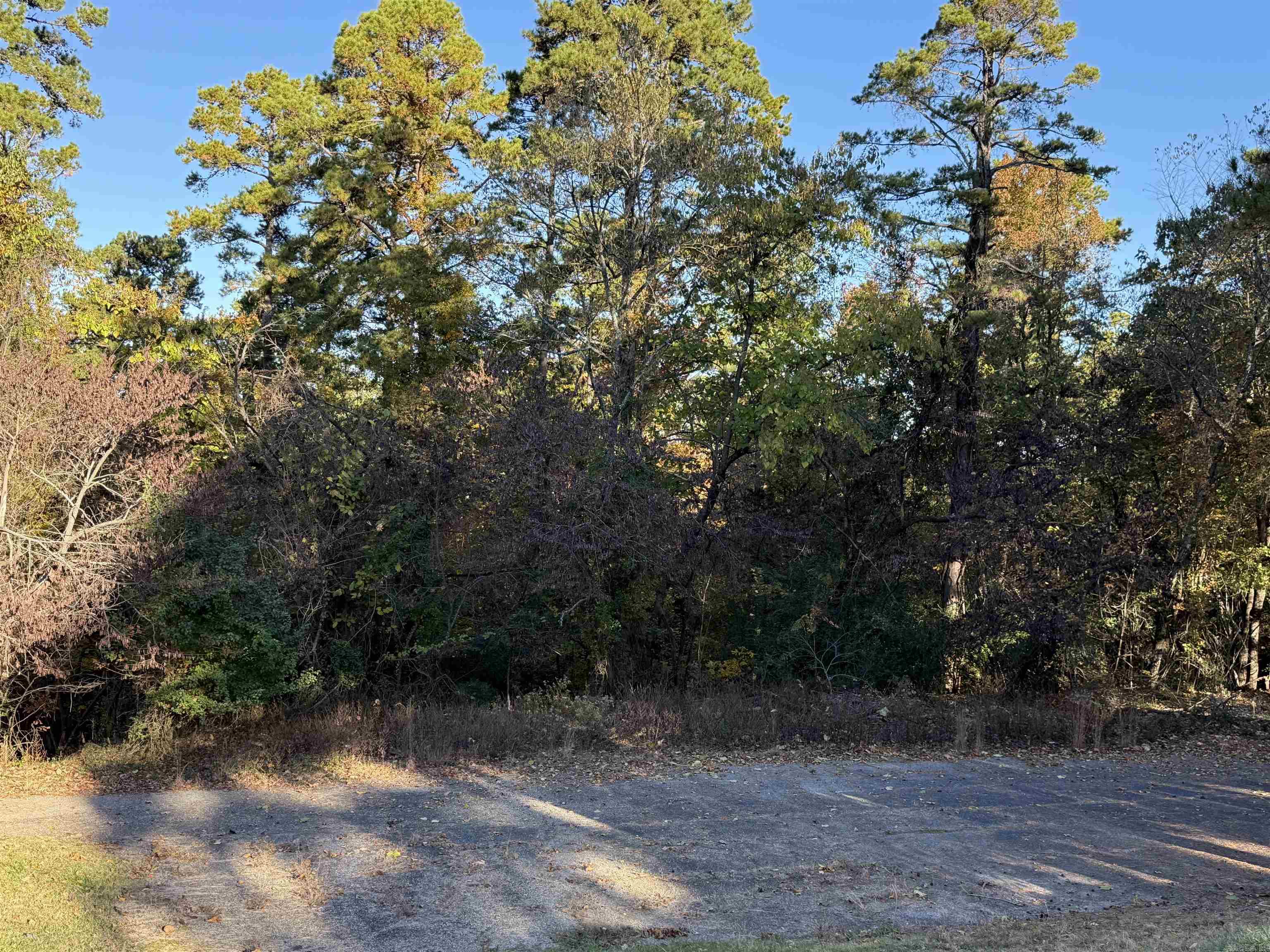 111 Desoto Cooper Circle Hot Springs Village, AR