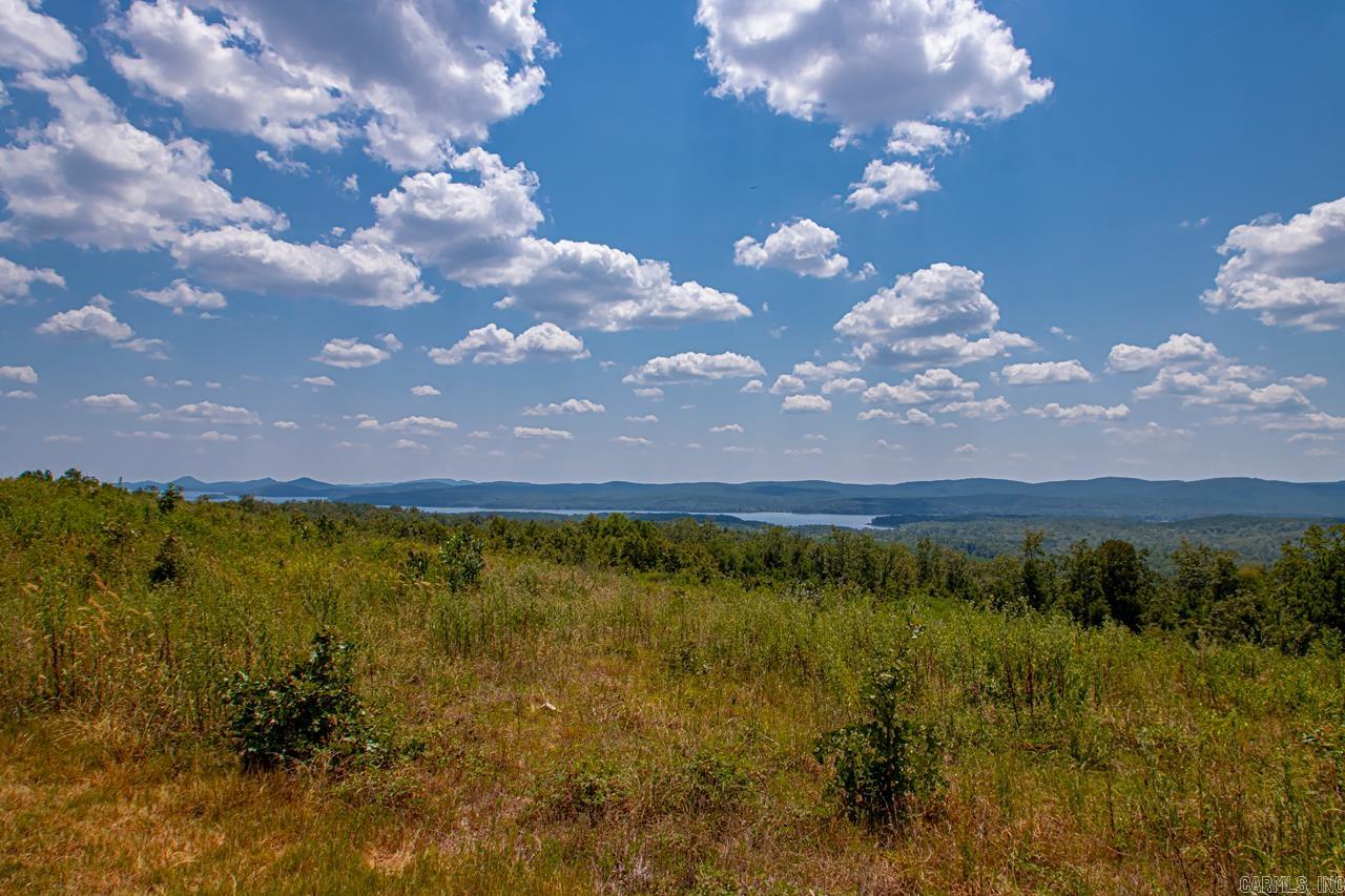 34405 Lakeview West Drive Roland, AR 72135