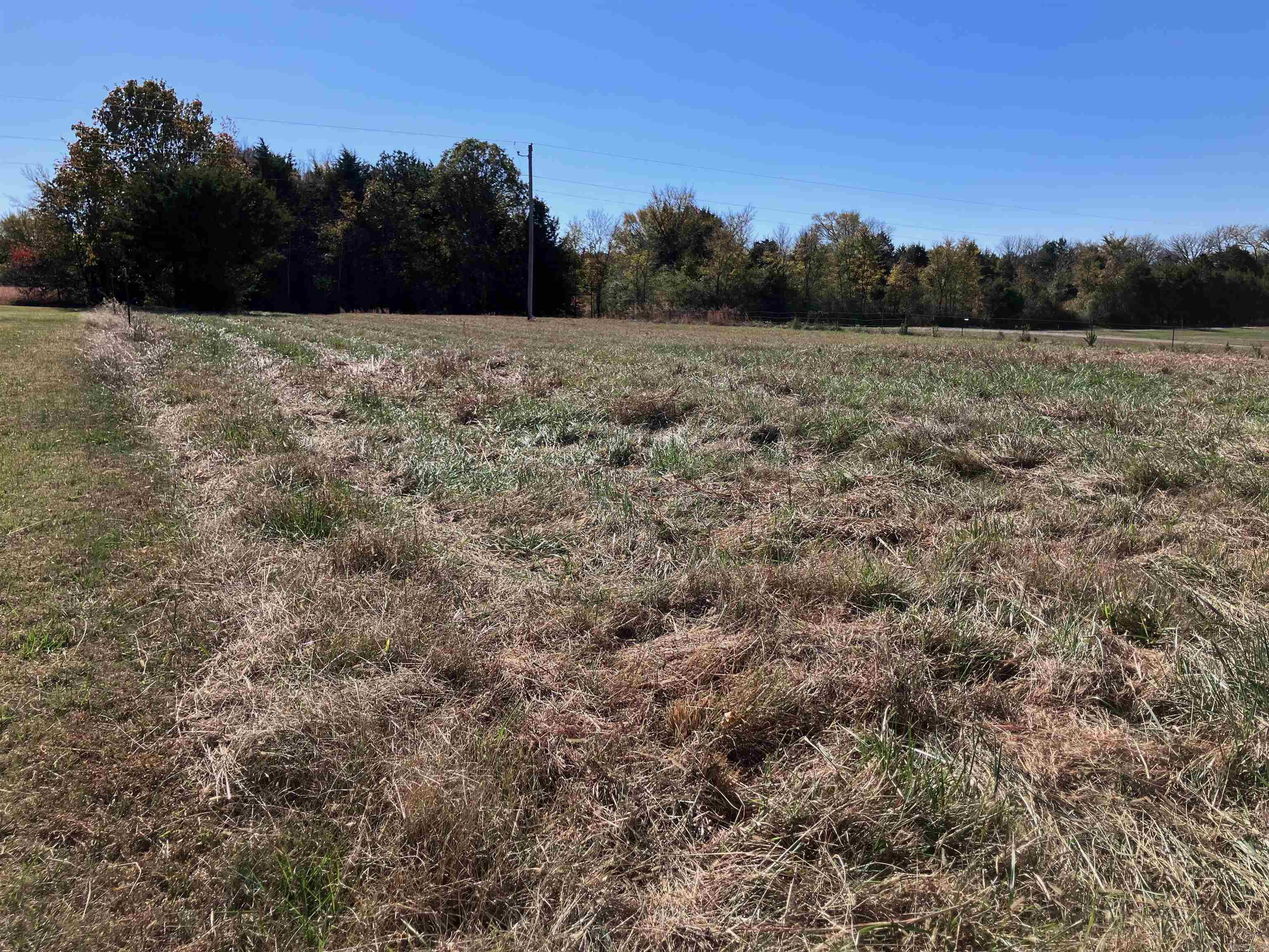 200 Cloyes  Bald Knob, AR