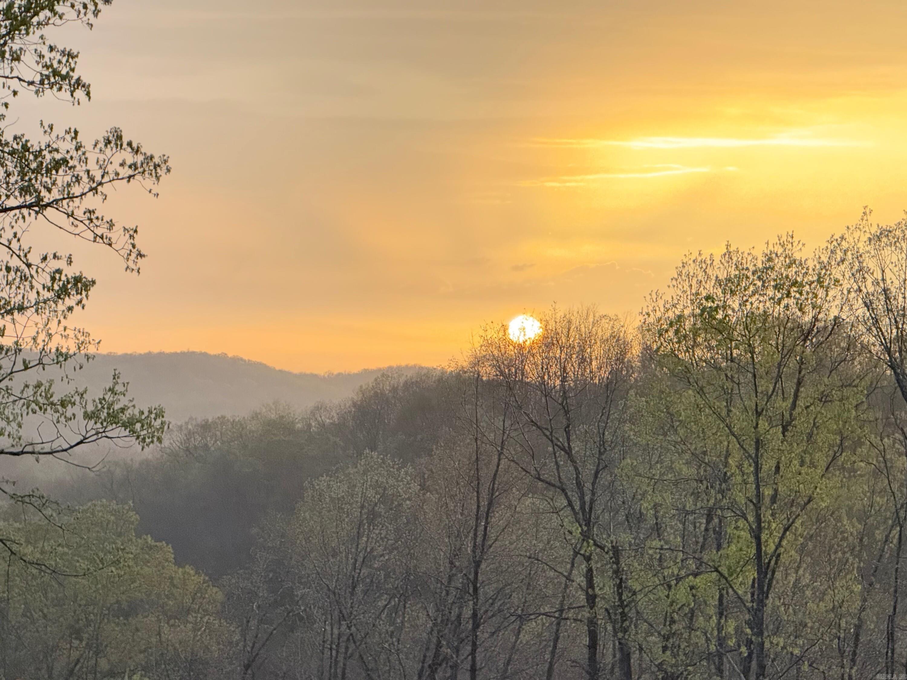 151 Rich Hollow Batesville, AR 72501