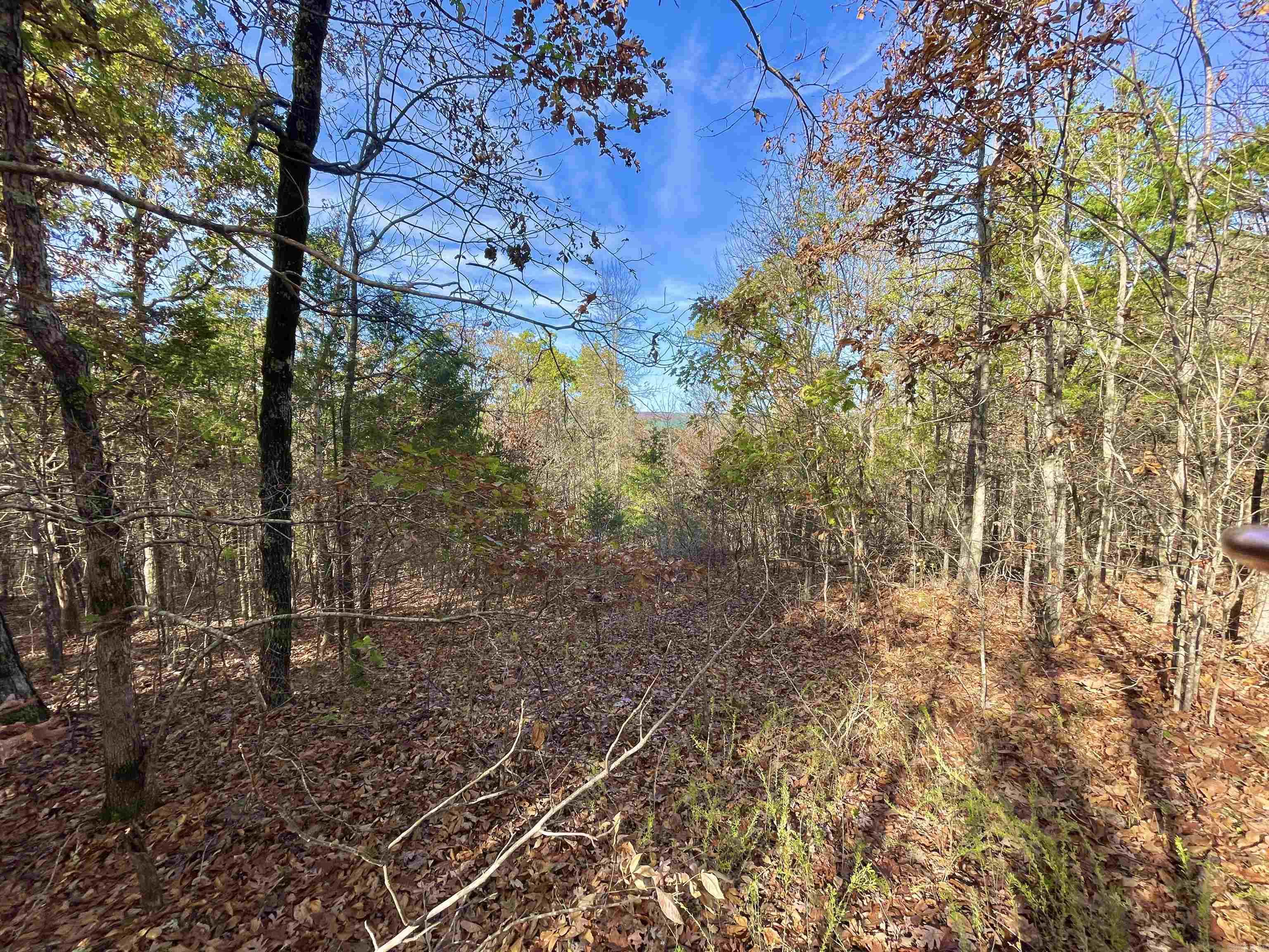 10 Eagle Ridge Dr. Greers Ferry, AR 72067
