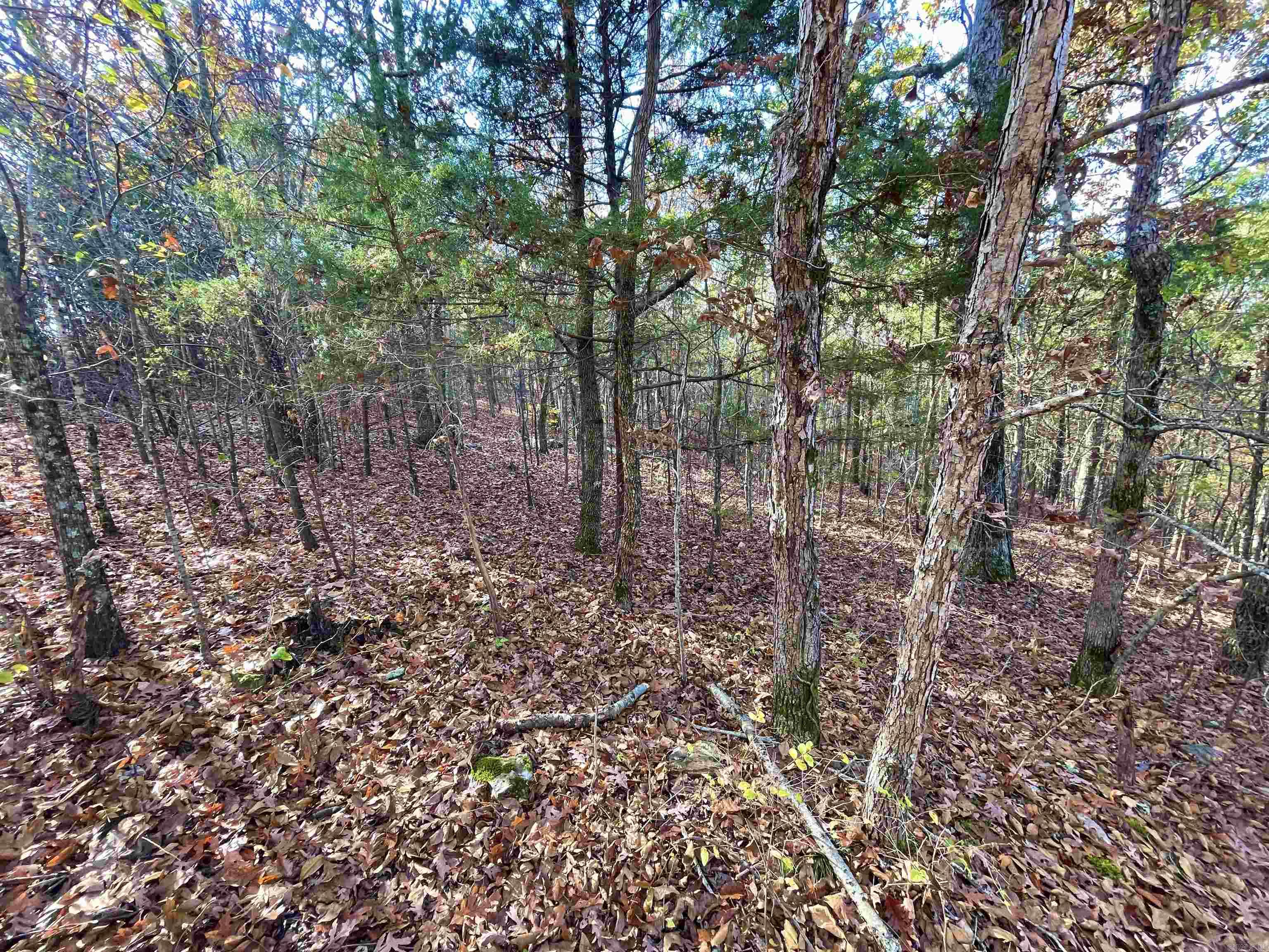 10 Eagle Ridge Dr. Greers Ferry, AR 72067
