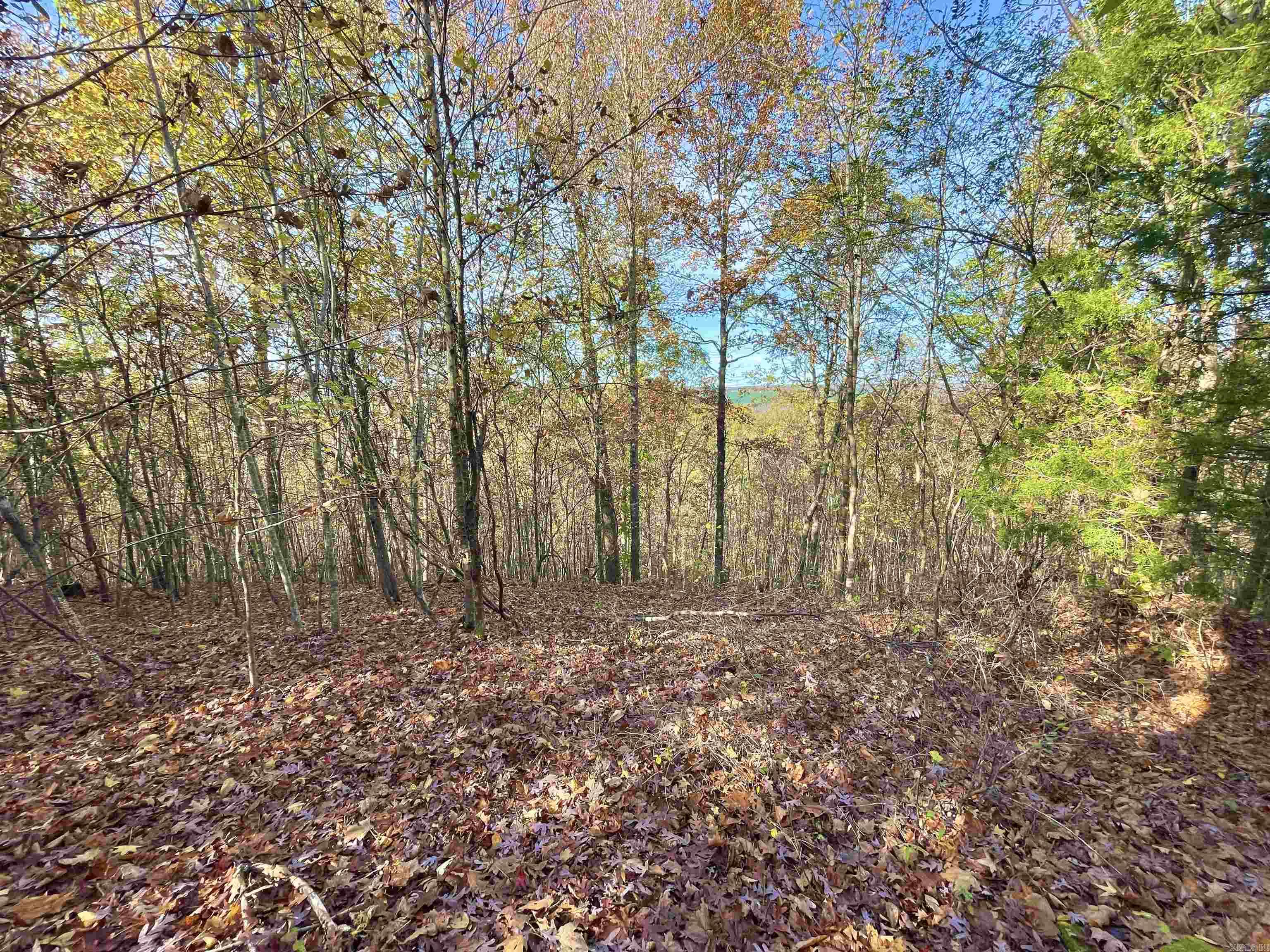 40 Eagle Ridge Dr. Greers Ferry, AR 72067