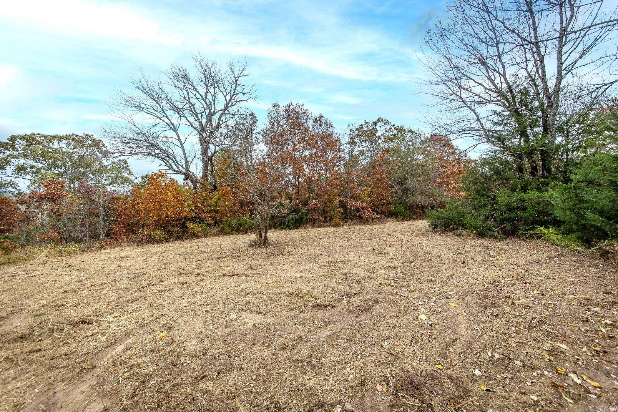 40 Eagle Ridge Dr. Greers Ferry, AR 72067