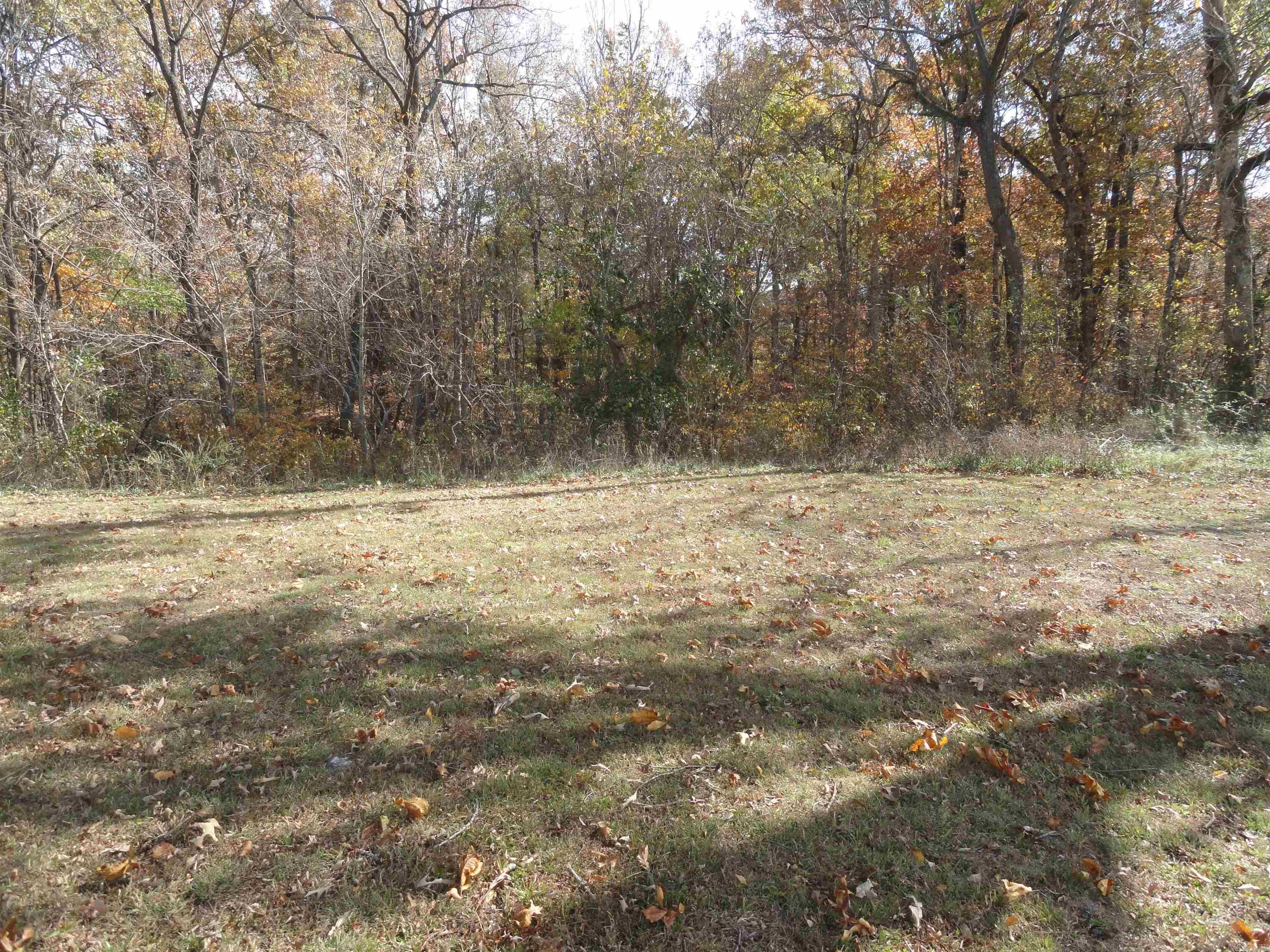 224 Mills Lane Marshall, AR 72650