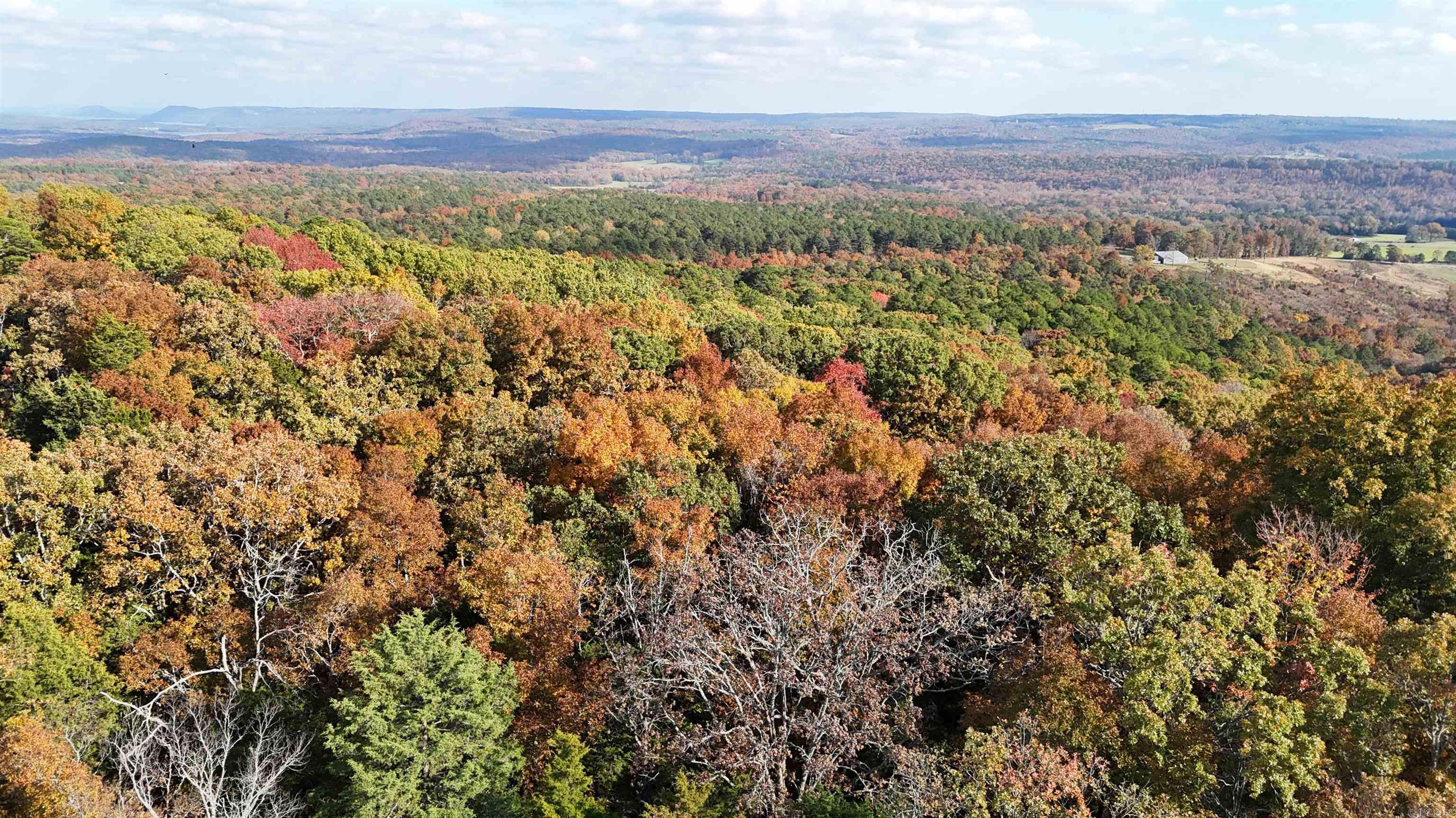 1768 Cutoff Road Road Clinton, AR 72031