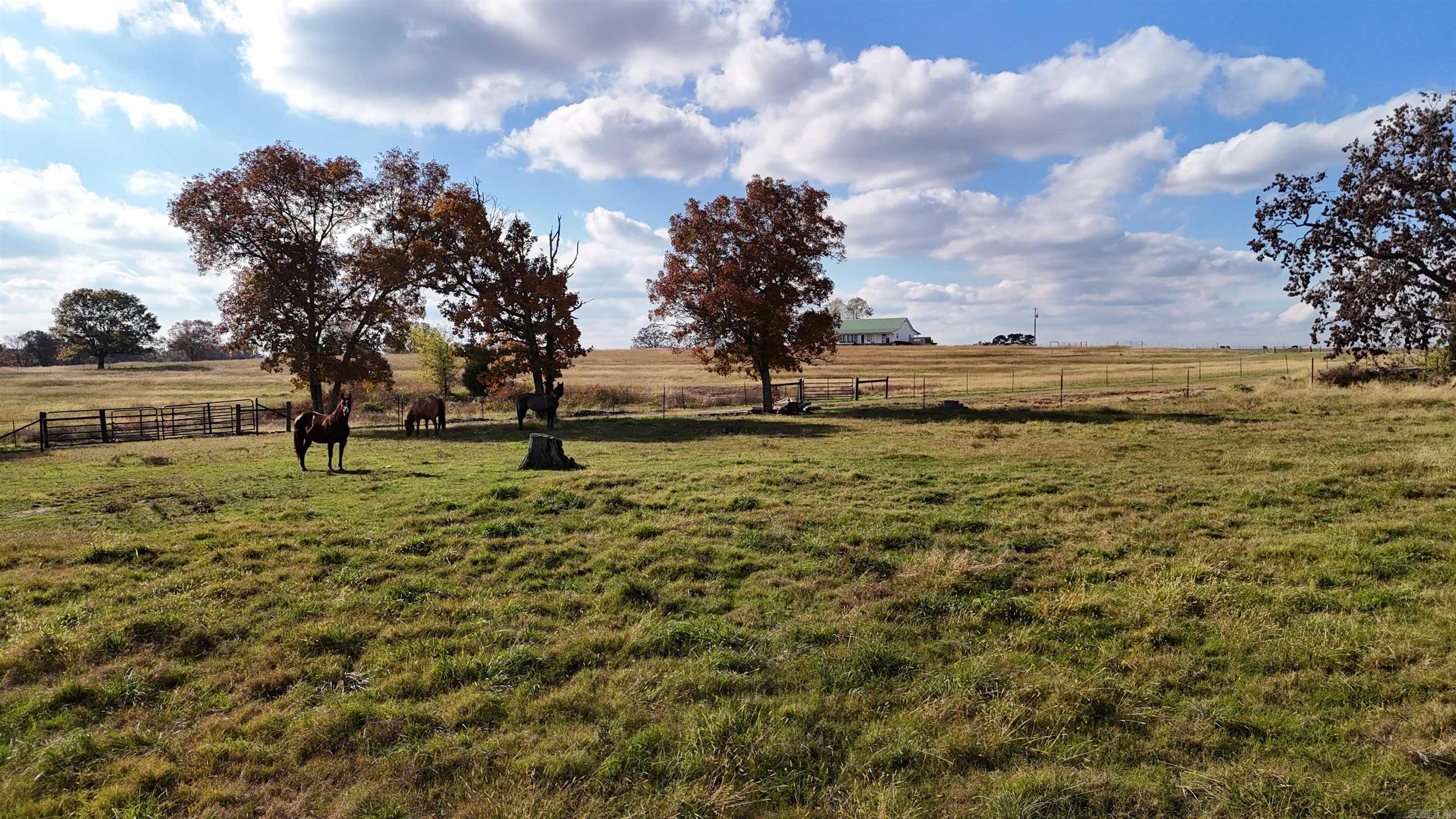 1768 Cutoff Road Road Clinton, AR 72031