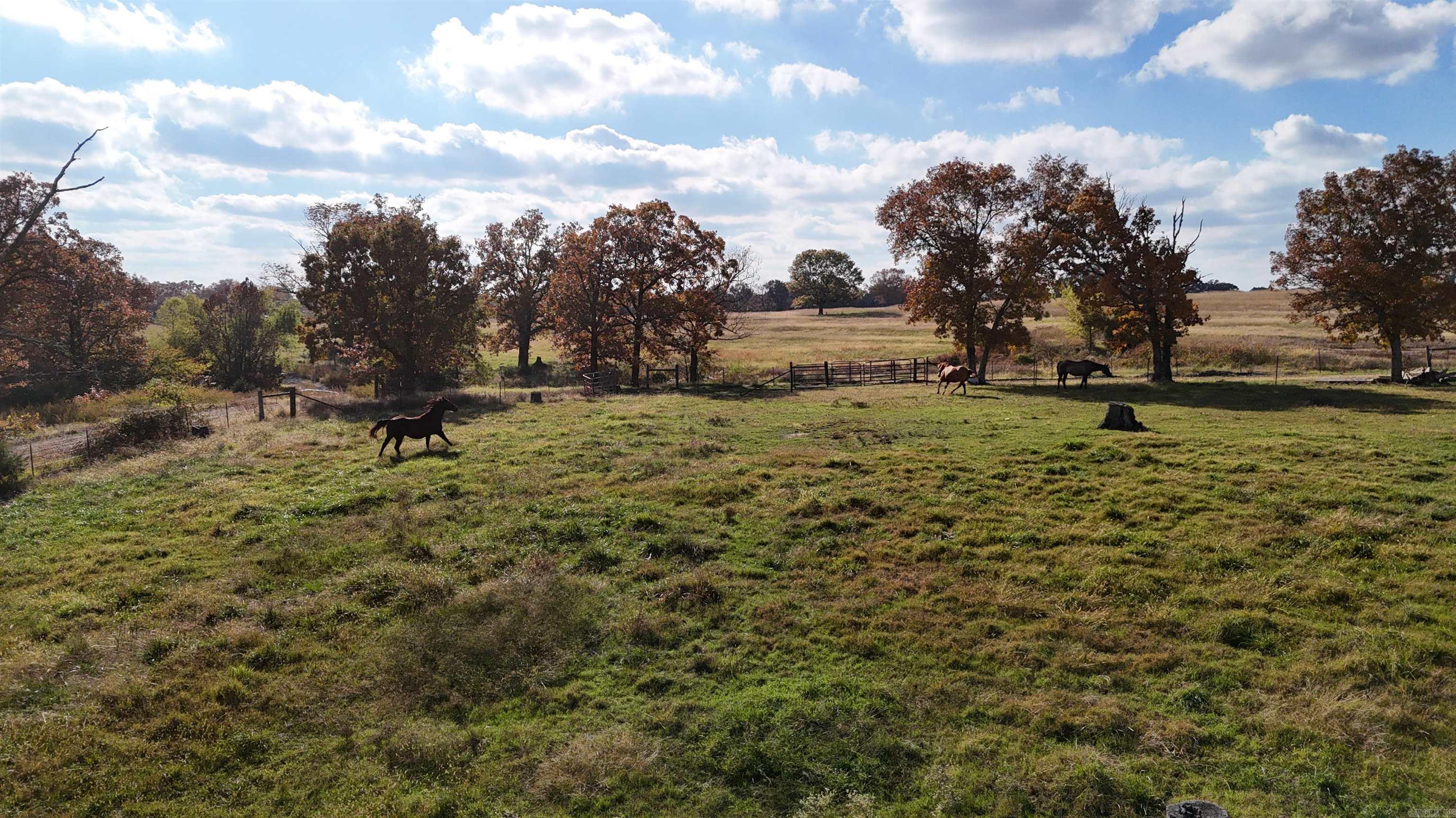 1768 Cutoff Road Road Clinton, AR 72031