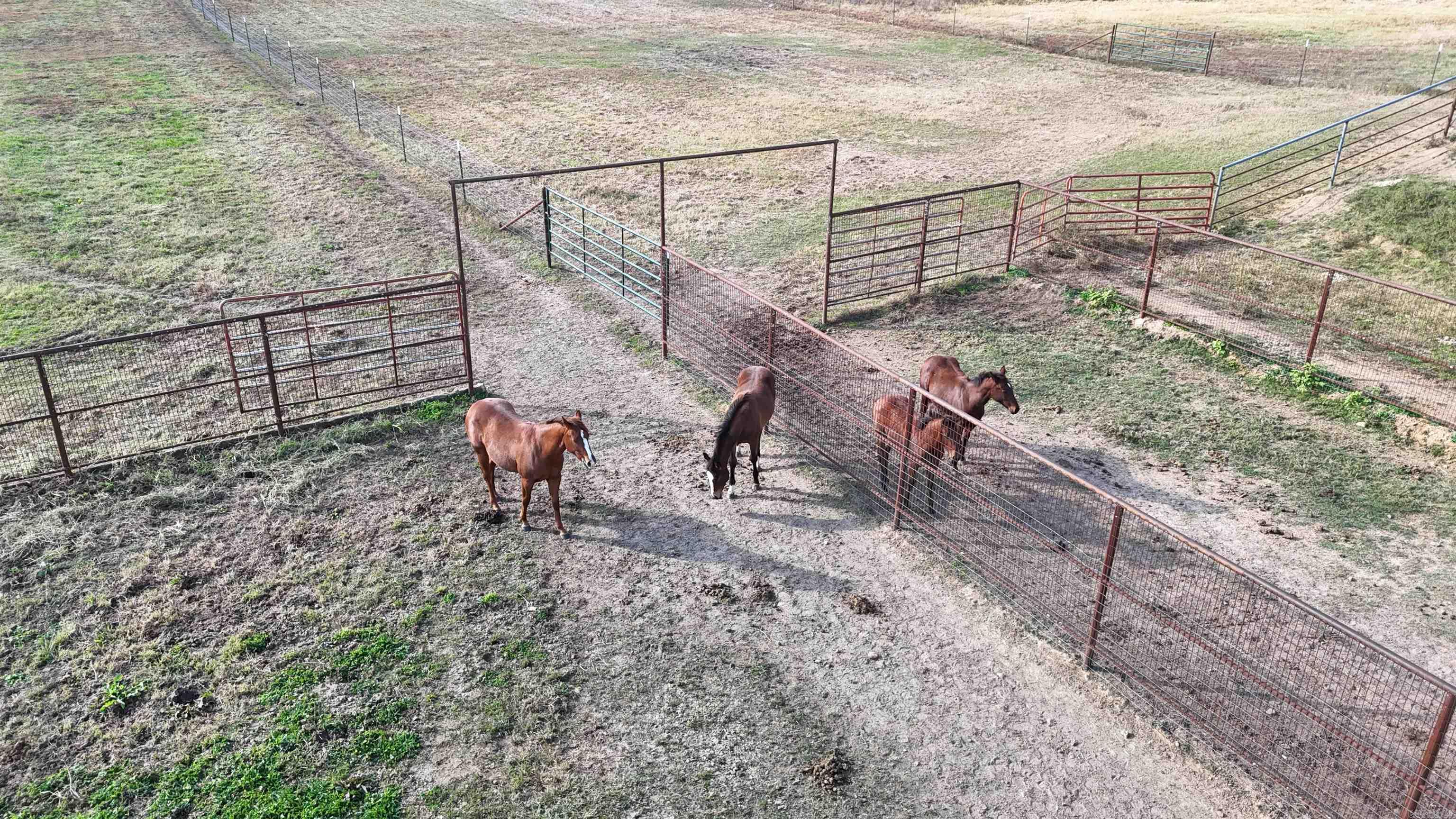 1768 Cutoff Road Road Clinton, AR 72031