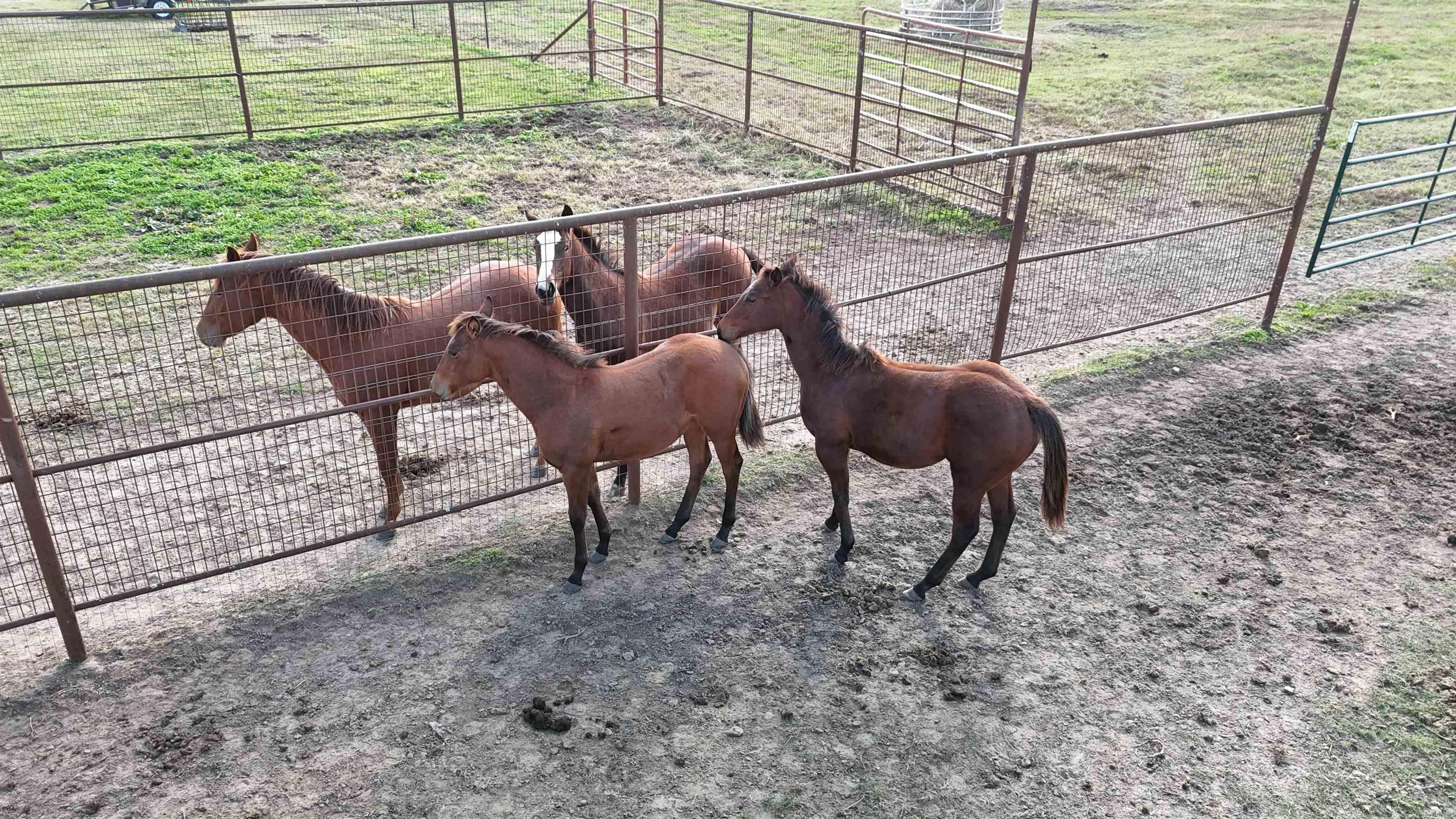 1768 Cutoff Road Road Clinton, AR 72031