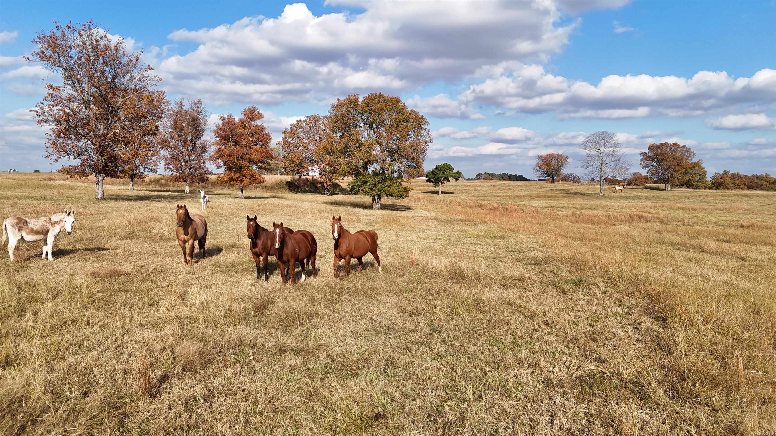 1768 Cutoff Road Road Clinton, AR 72031