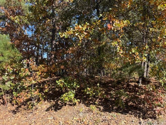 25 Jardinero  Hot Springs Village, AR
