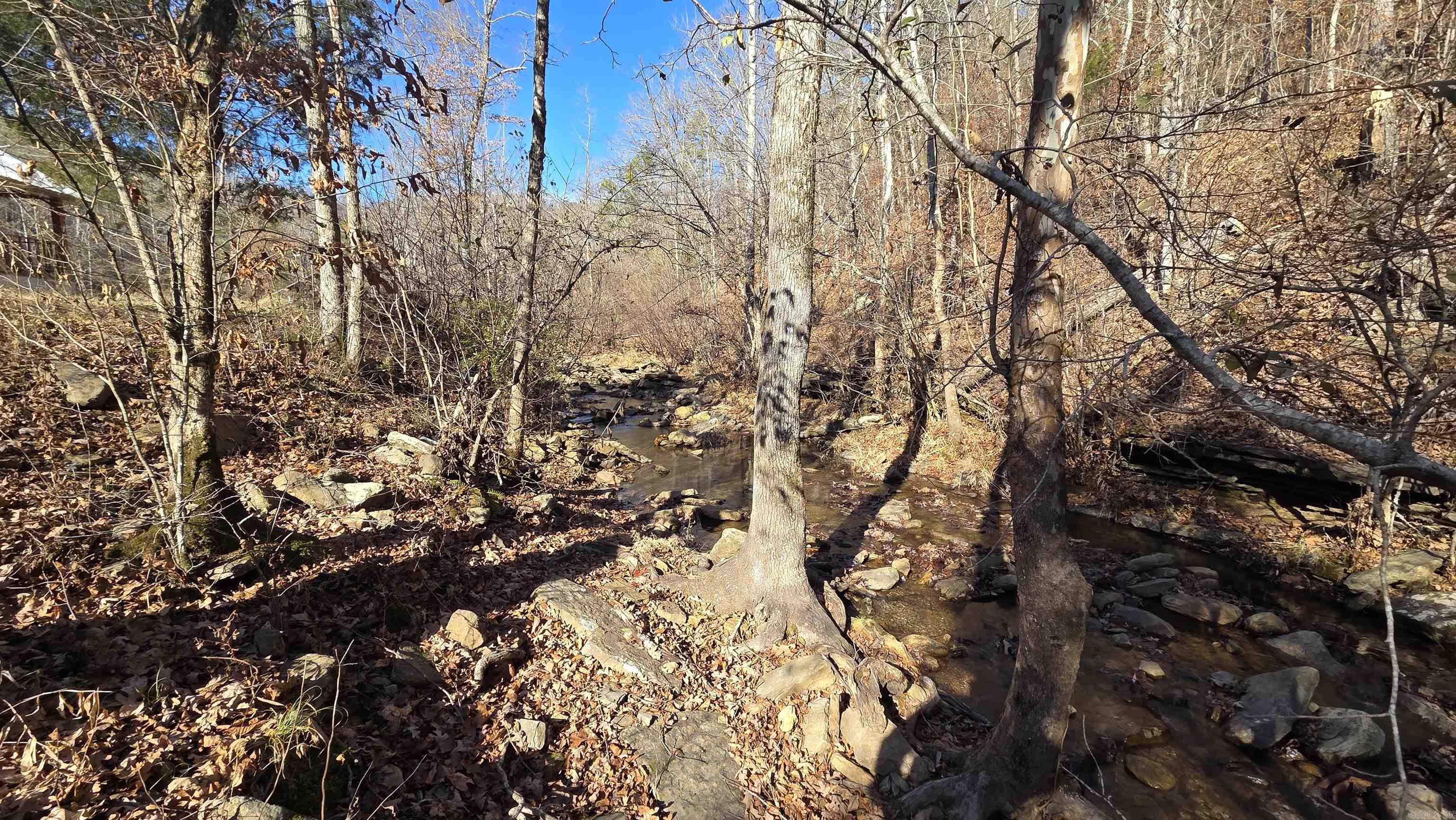 510 Good Spur Shirley, AR 72153