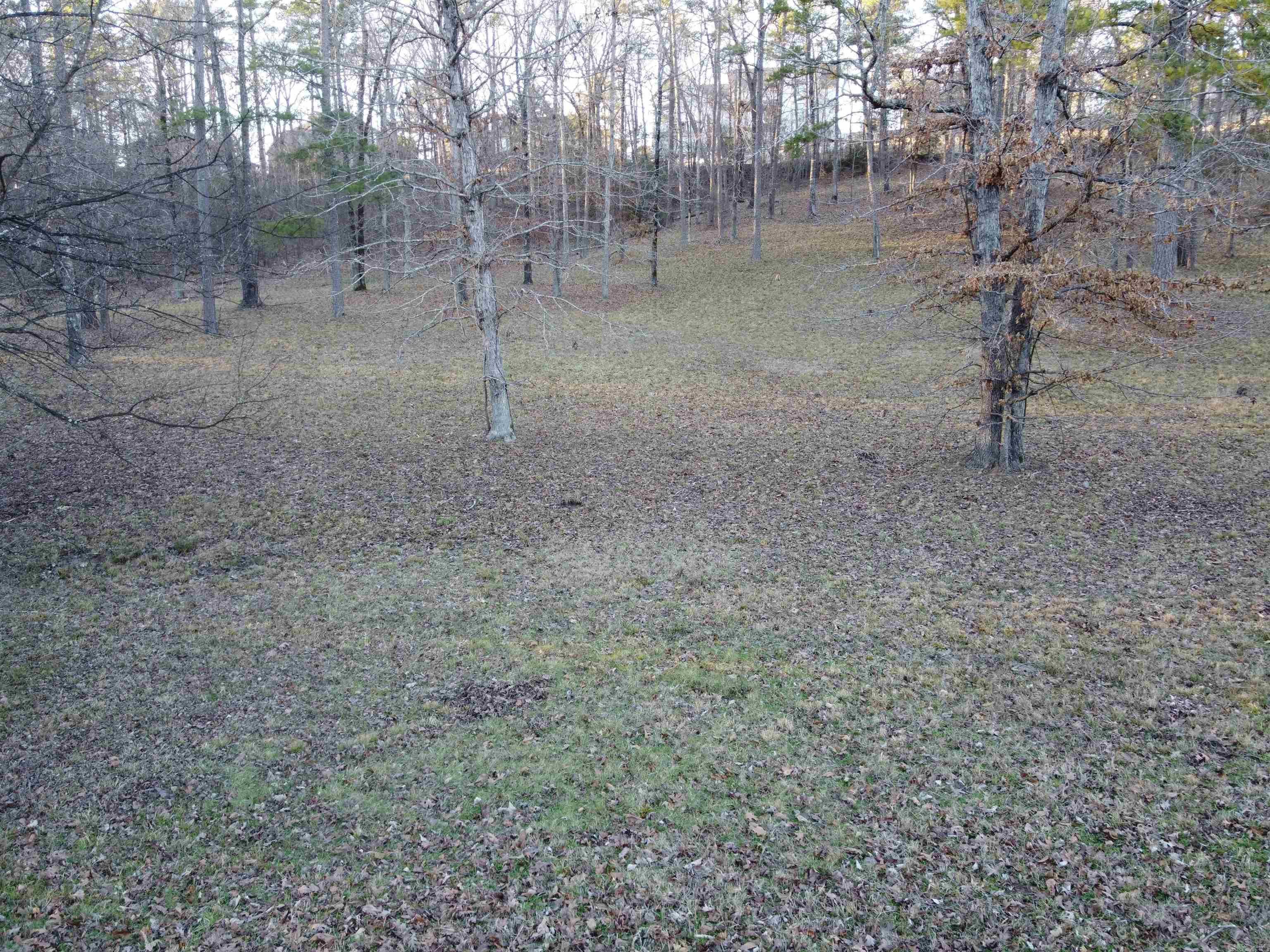 Lot 45 Lake Forest Shores  Hot Springs, AR