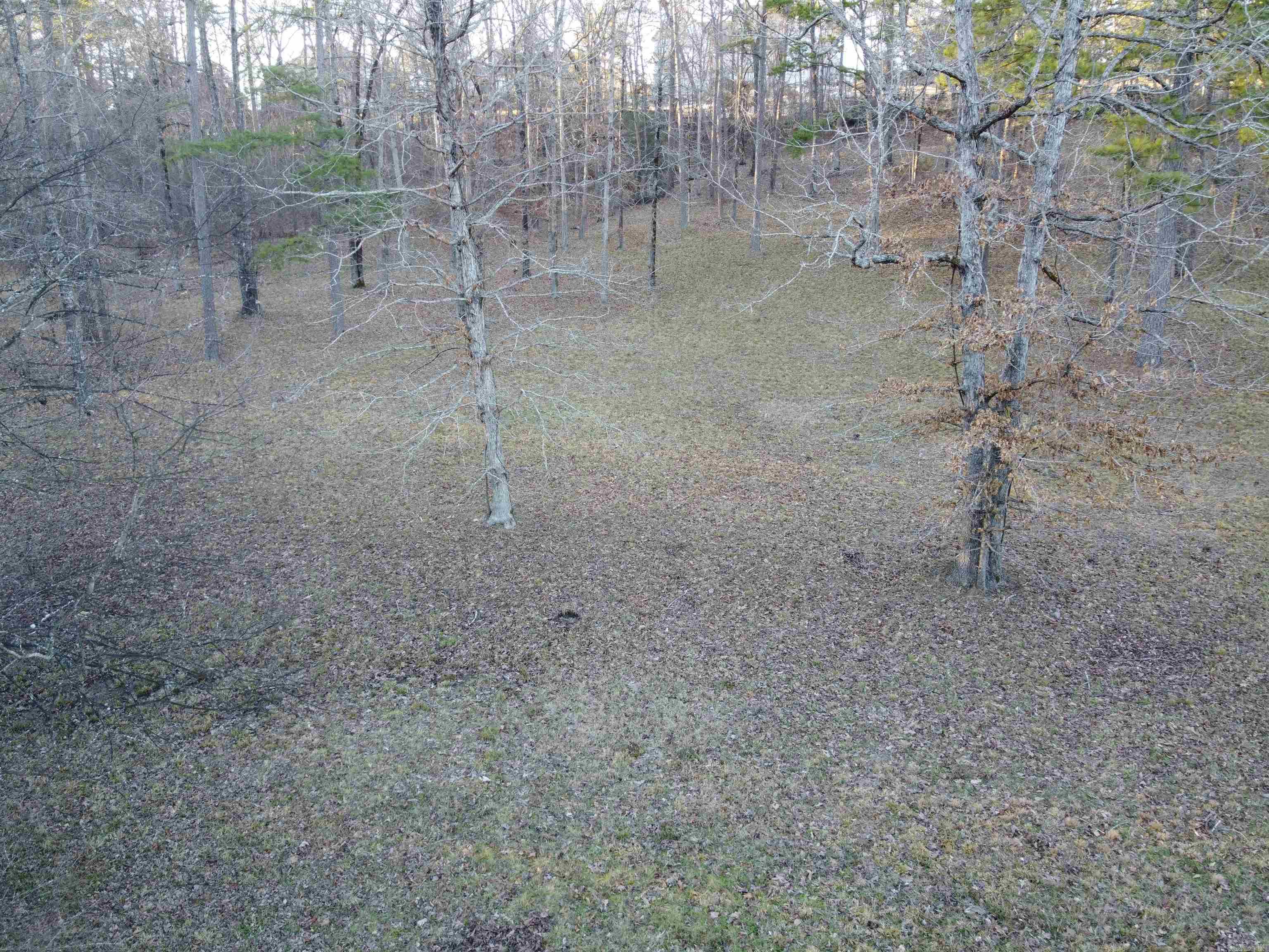 Lot 62 Lake Forest Shores  Hot Springs, AR