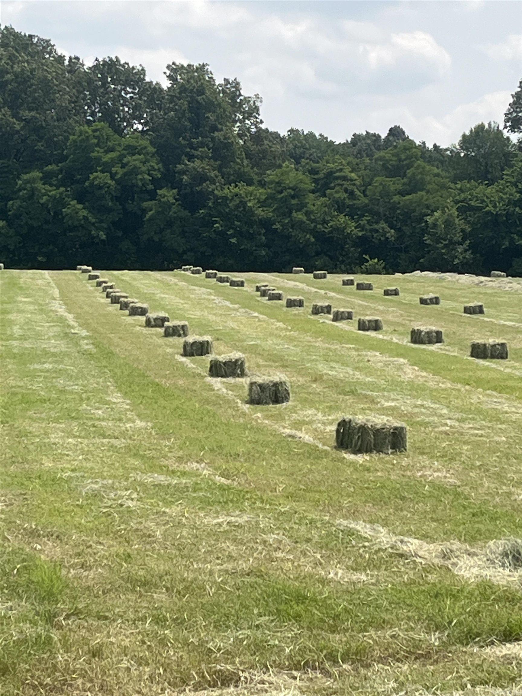 823 CR 352  Piggott, AR