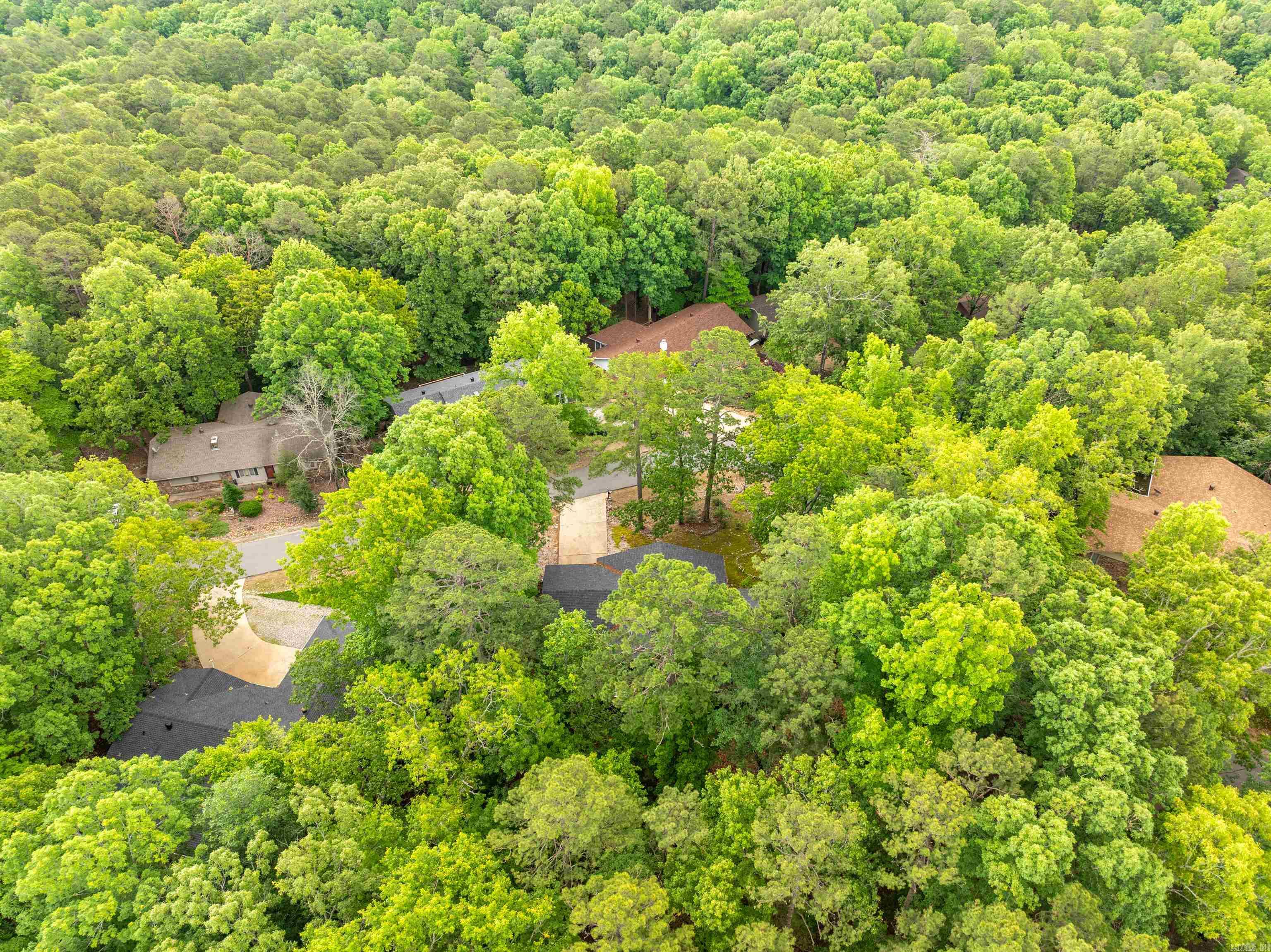 1 Vilafranca  Hot Springs Village, AR