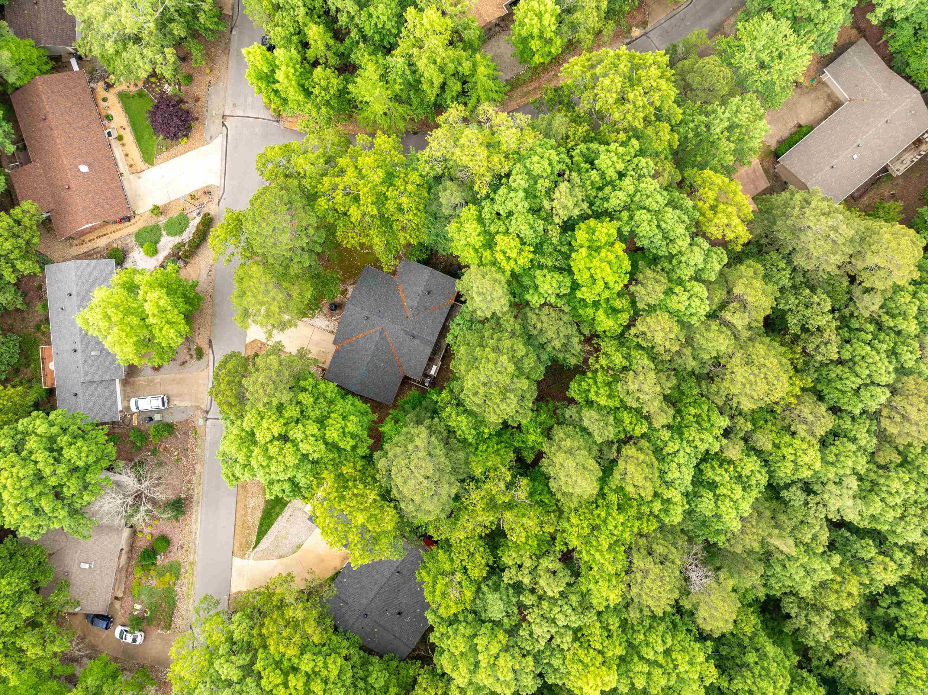 1 Vilafranca  Hot Springs Village, AR