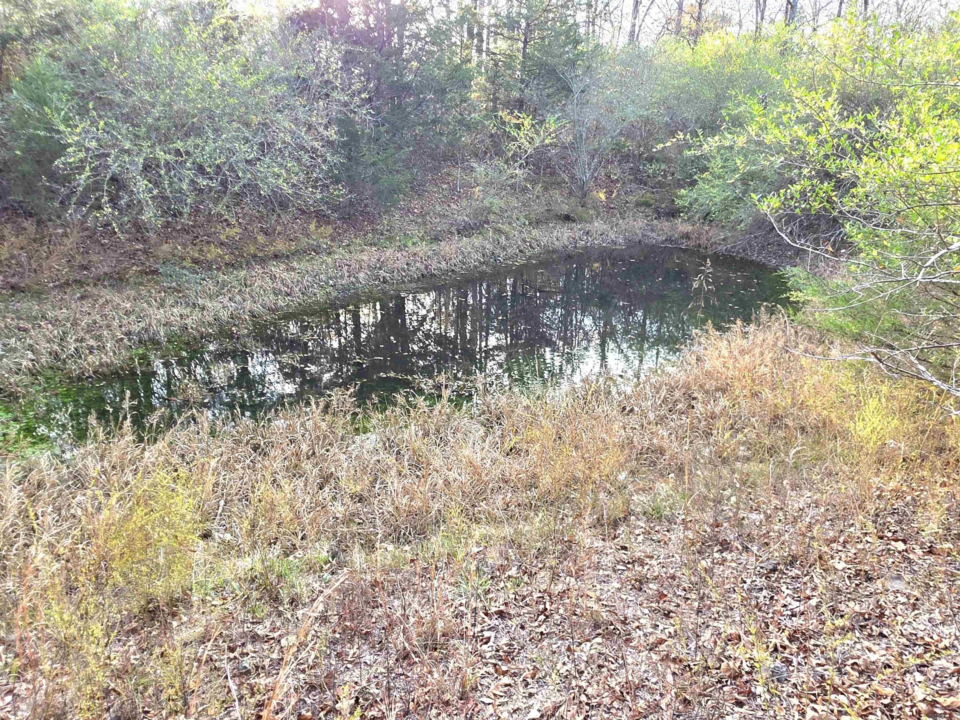 123 Moore  Hatfield, AR