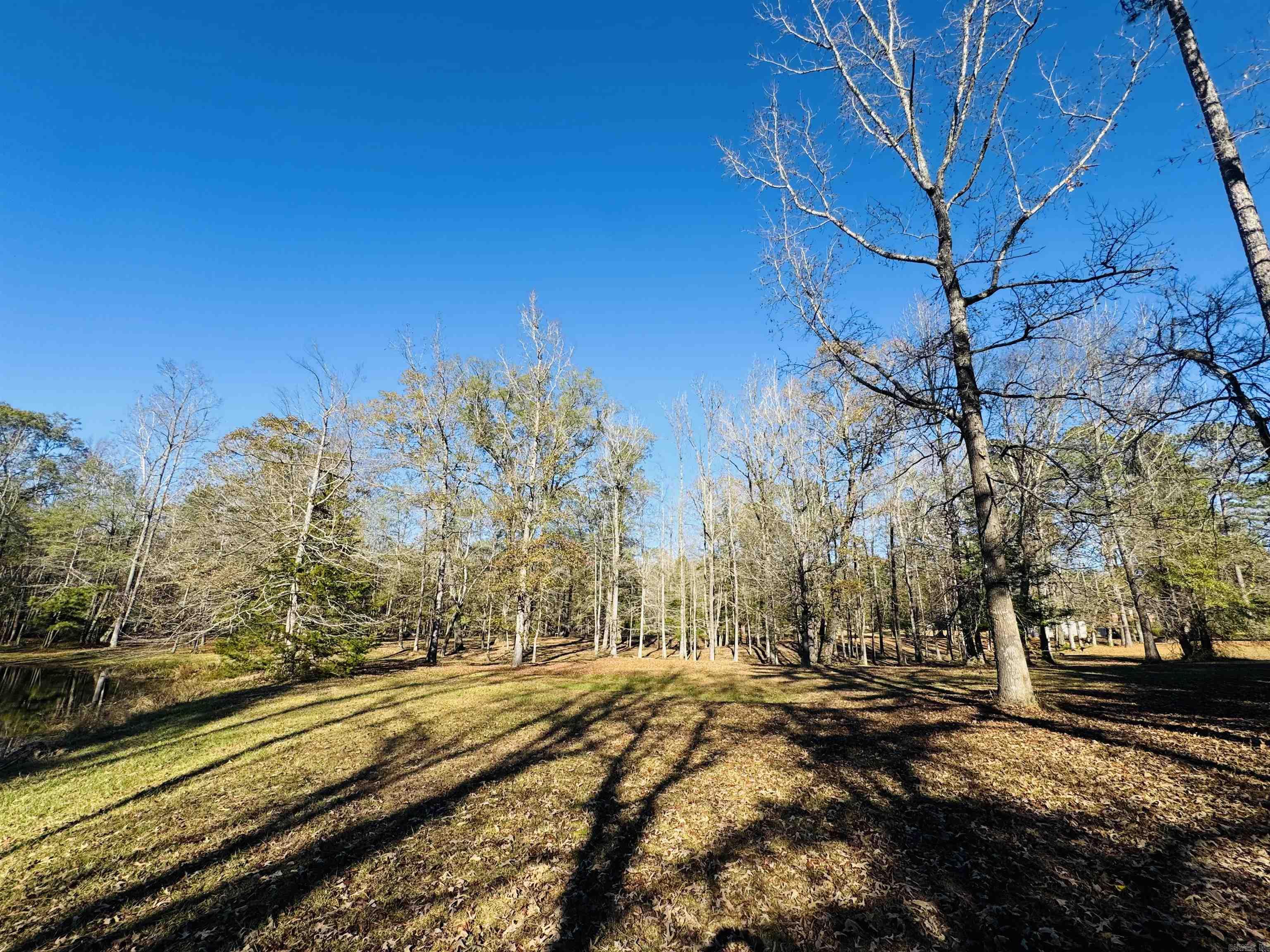 2200 Maul Road Camden, AR 71701