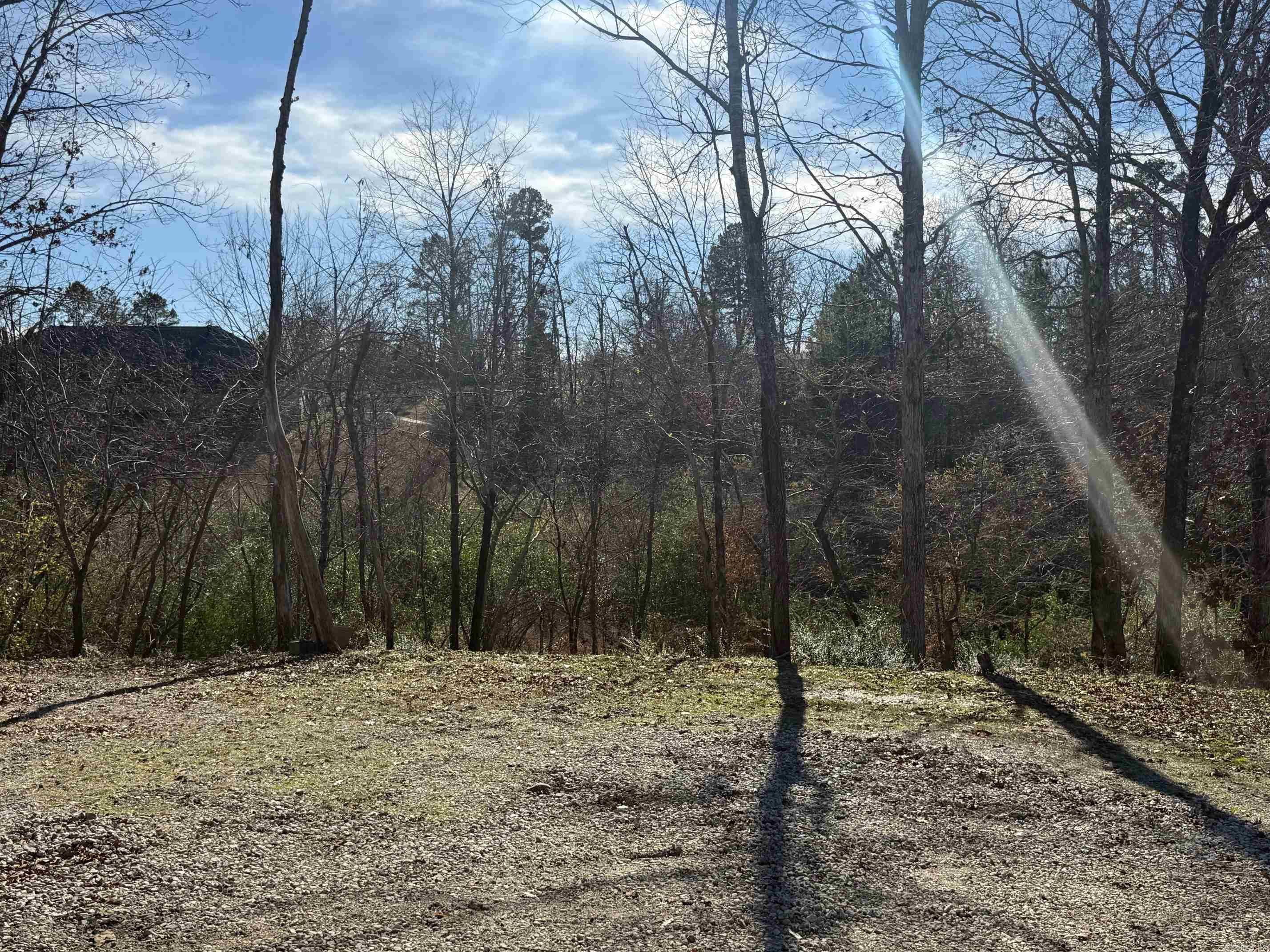 17630 Bream  Alexander, AR