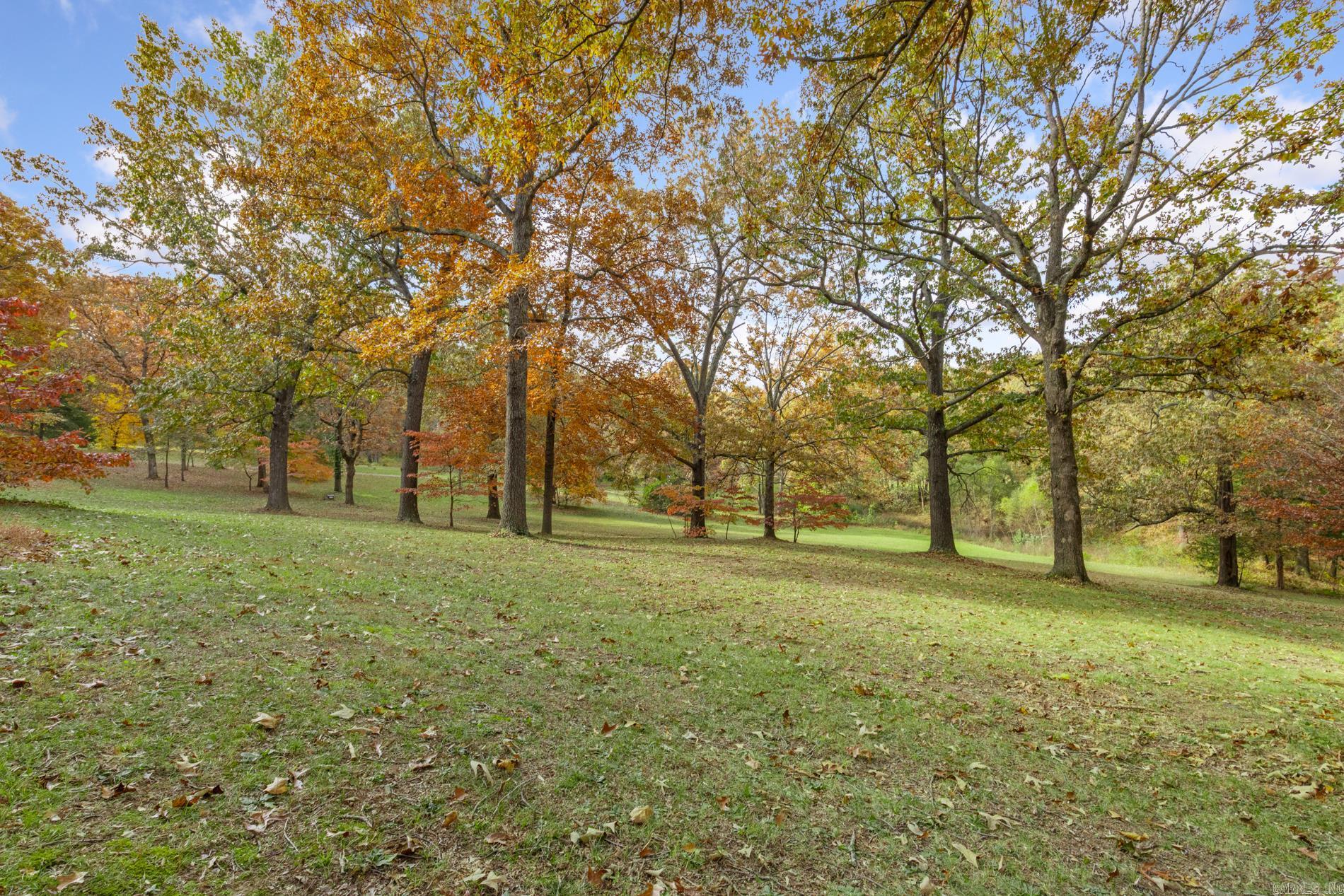 1 Meriwether Pond Harrison, AR 72601-4650