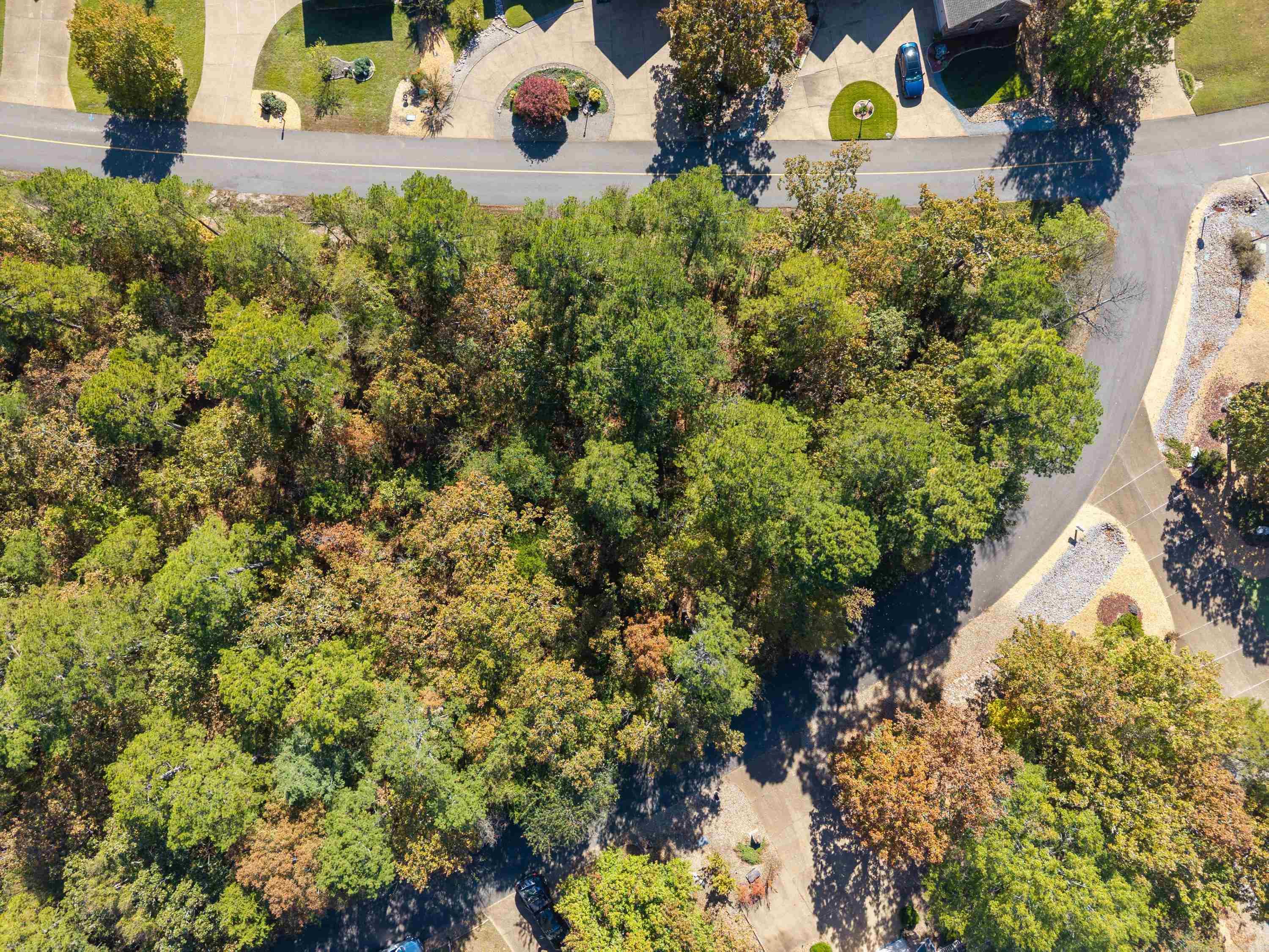 2 Conquista Lane  Hot Springs Village, AR