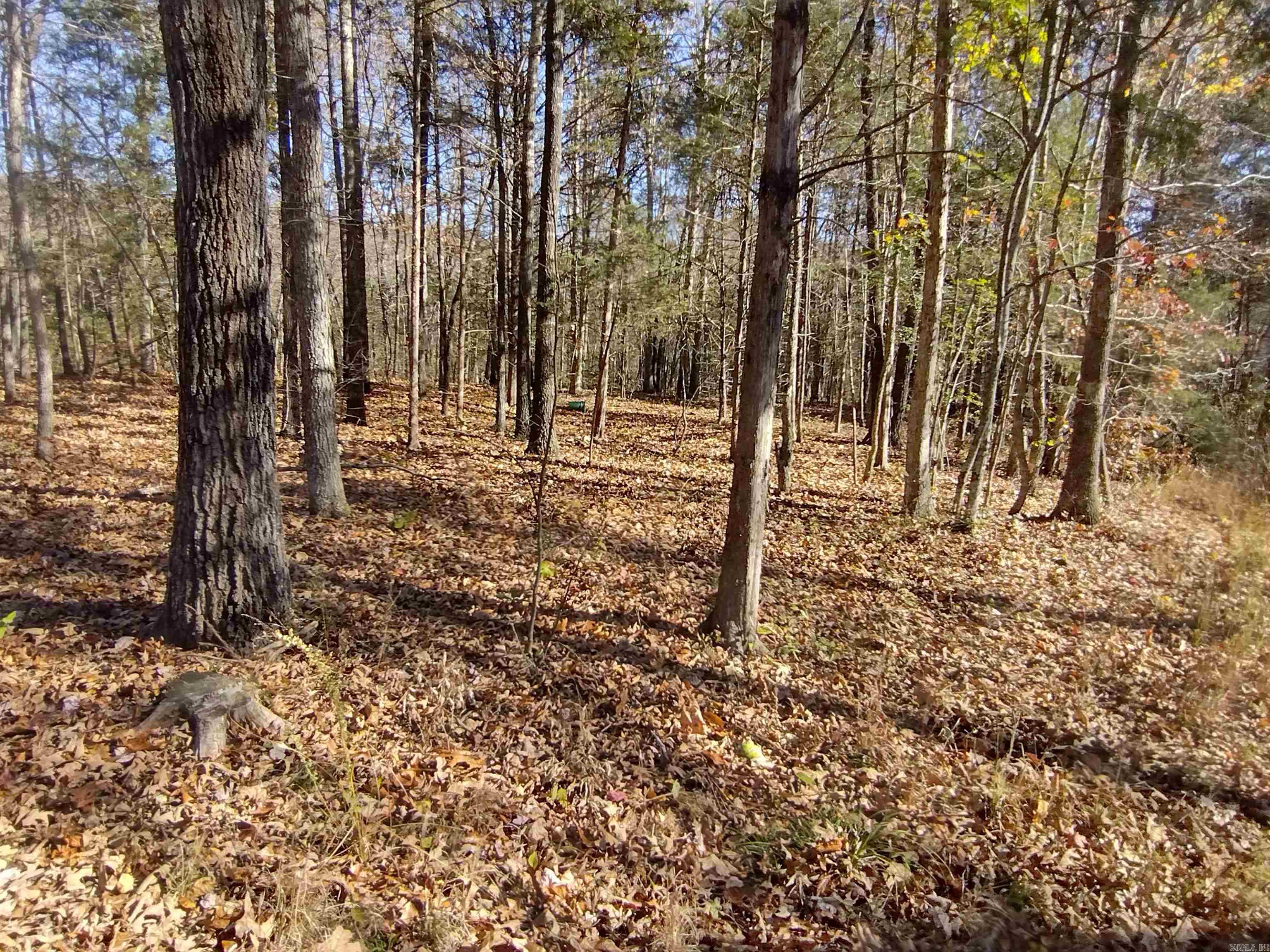 880 Wildcat rd  Fifty-Six, AR