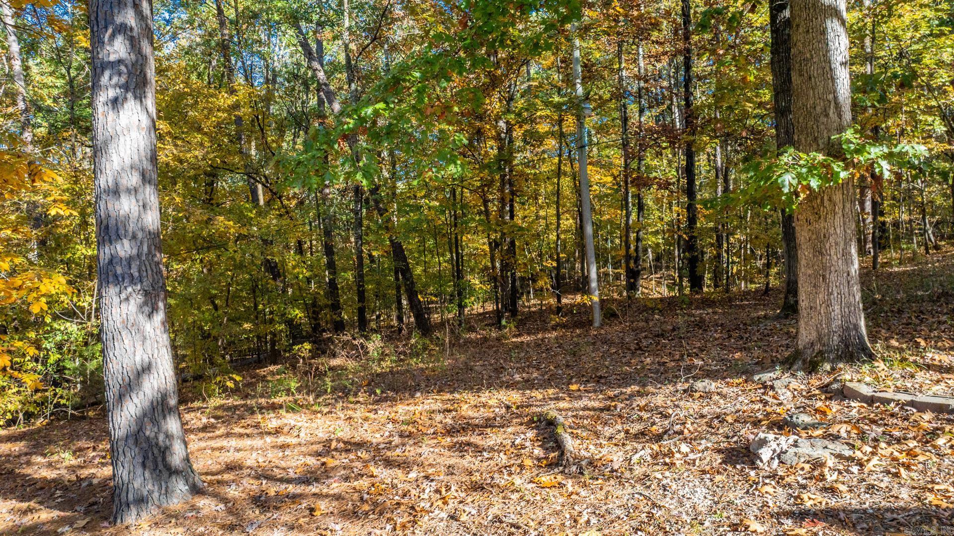 2000 Cherry Crossing Benton, AR 72015