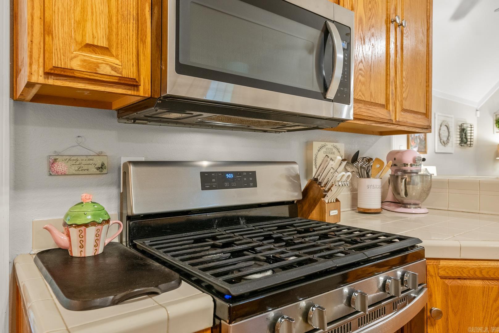 2110 Brush Mountain Trail Paron, AR 72122