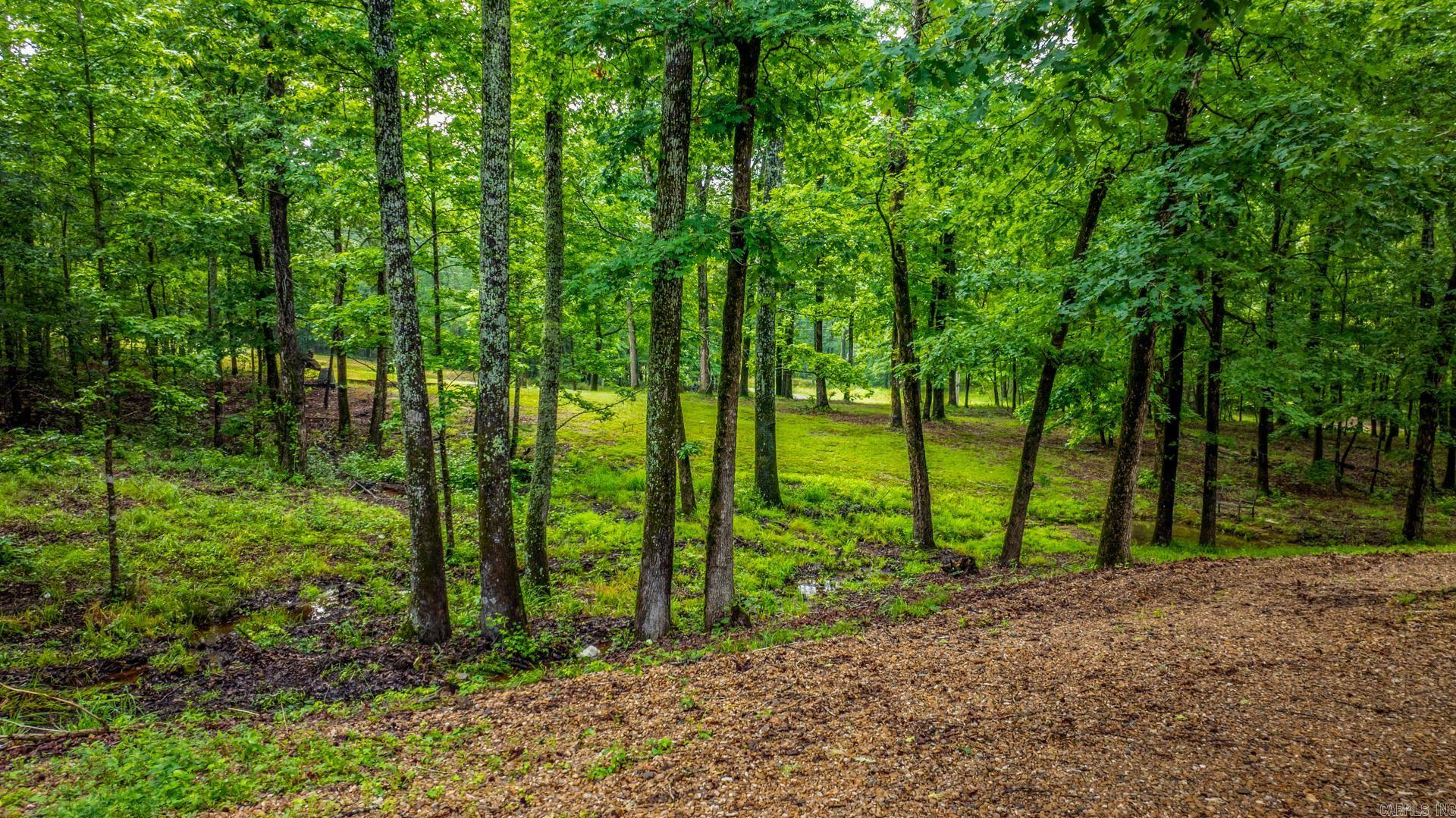 2110 Brush Mountain Trail Paron, AR 72122