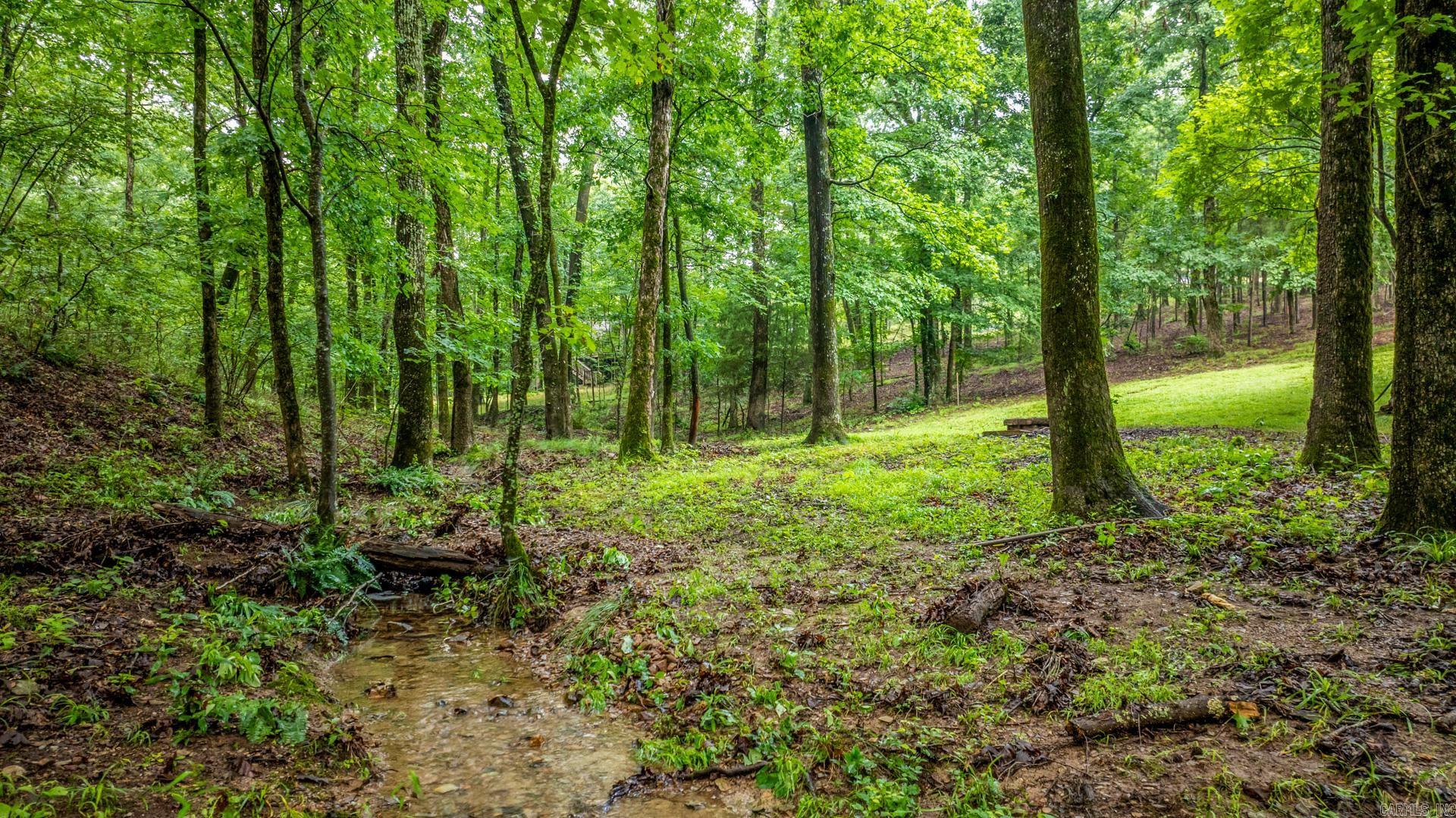 2110 Brush Mountain Trail Paron, AR 72122