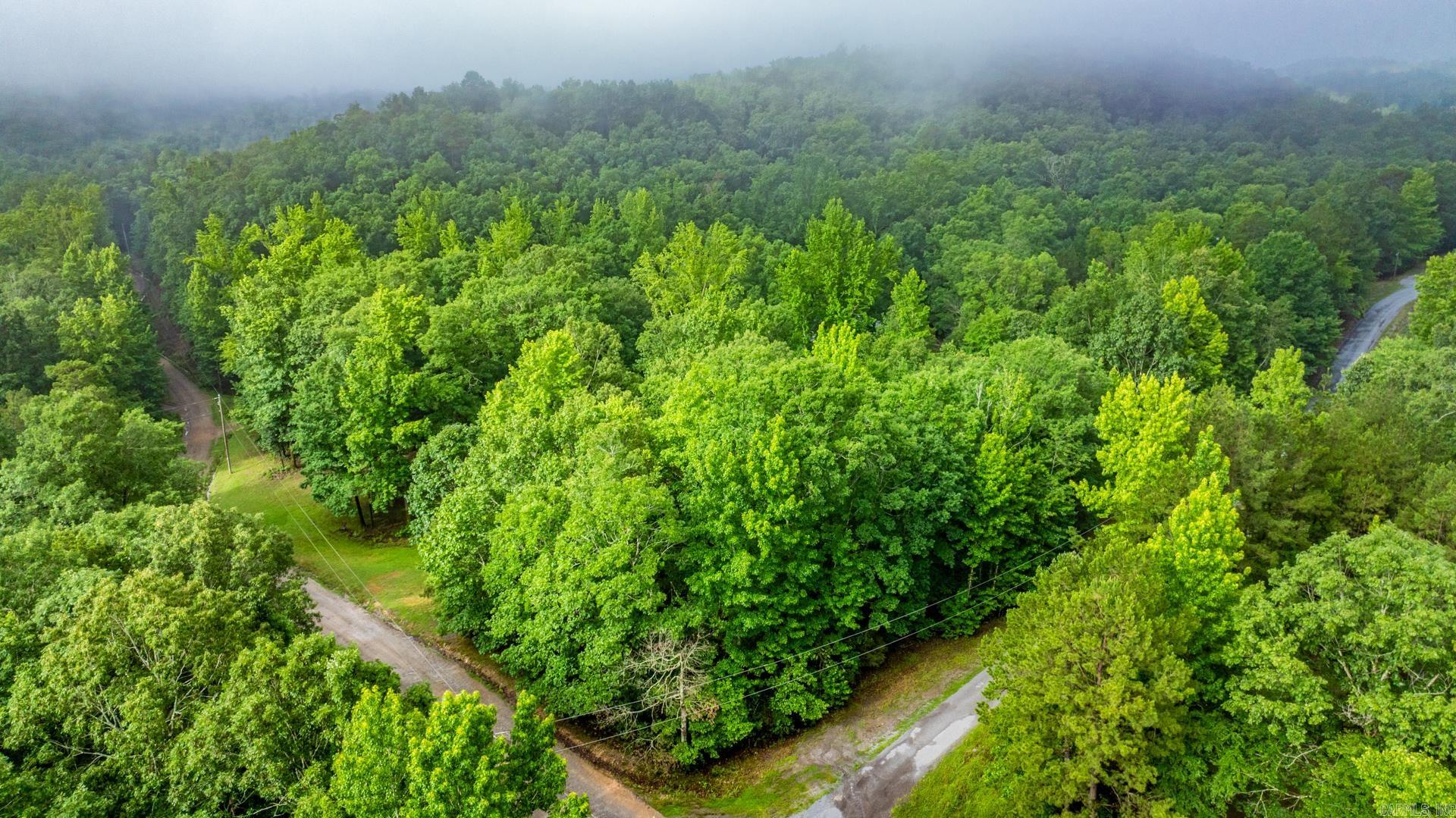 2110 Brush Mountain Trail Paron, AR 72122